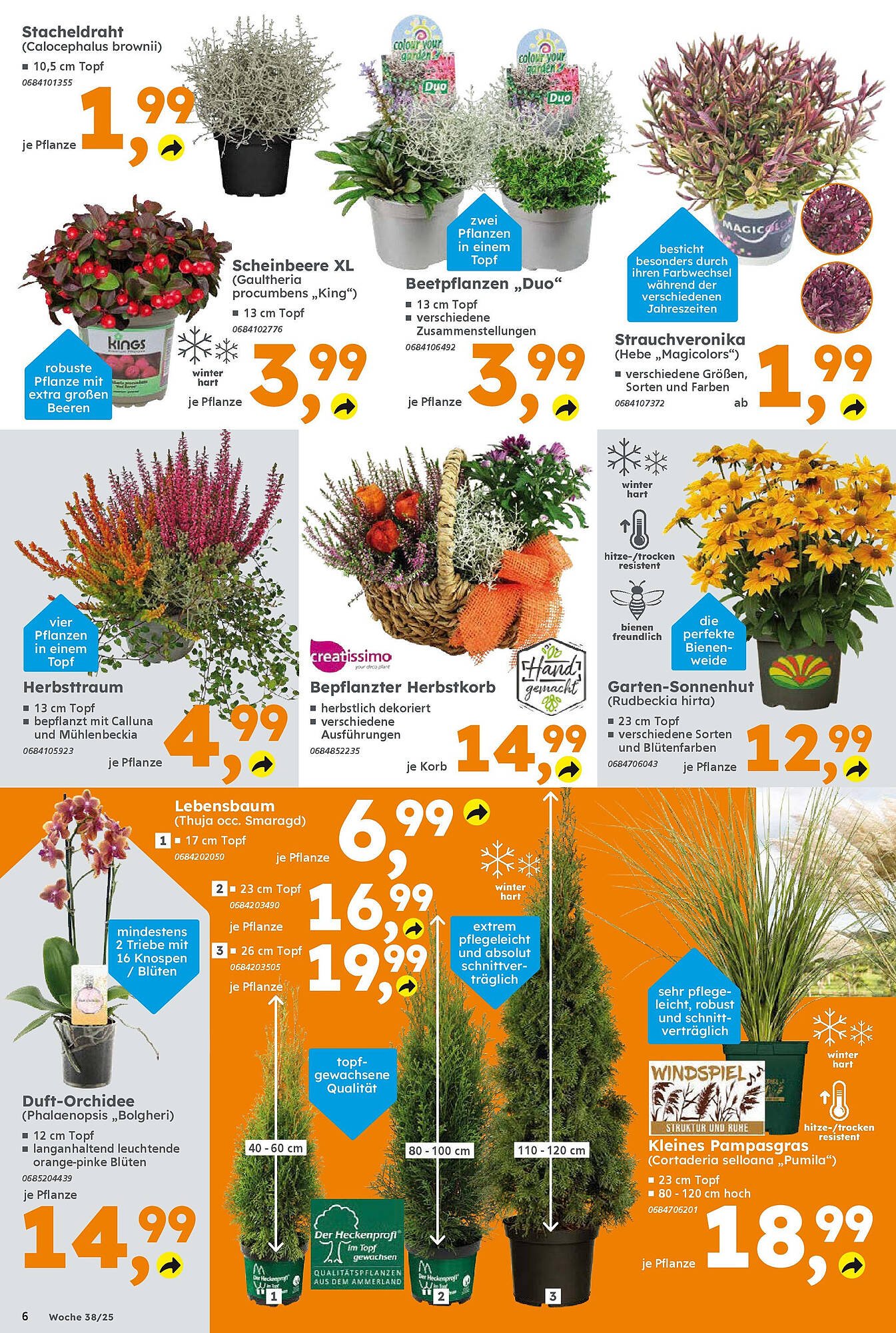 Globus Baumarkt Prospekt (2025-09-14 - 2025-09-20) | 6