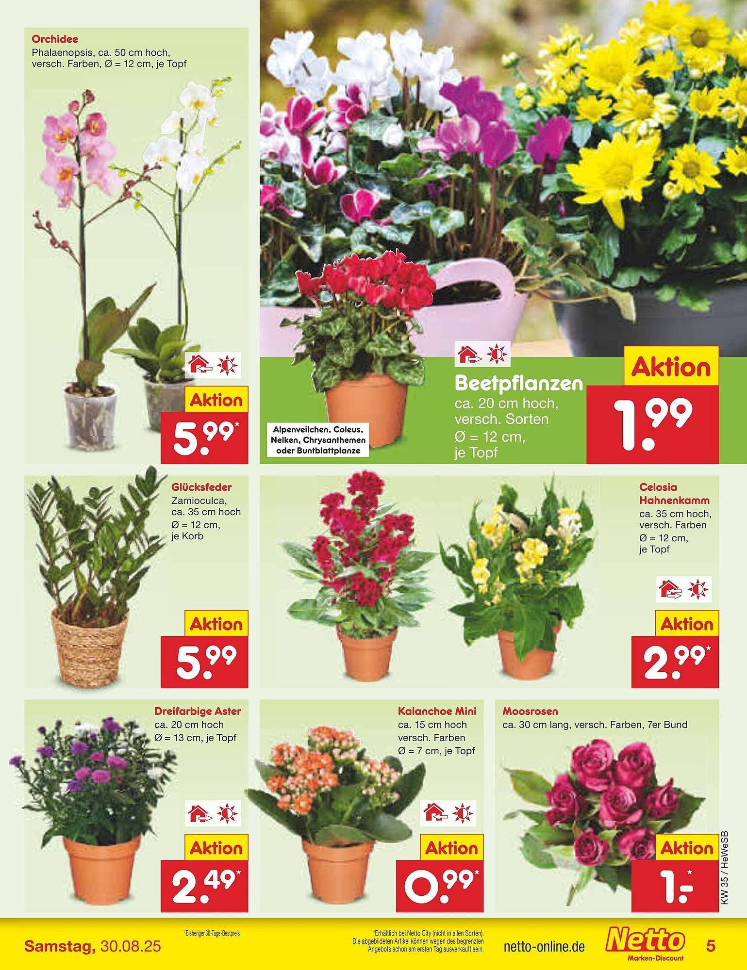 Netto Marken-Discount Prospekt (2025-08-25 - 2025-08-30) | 5