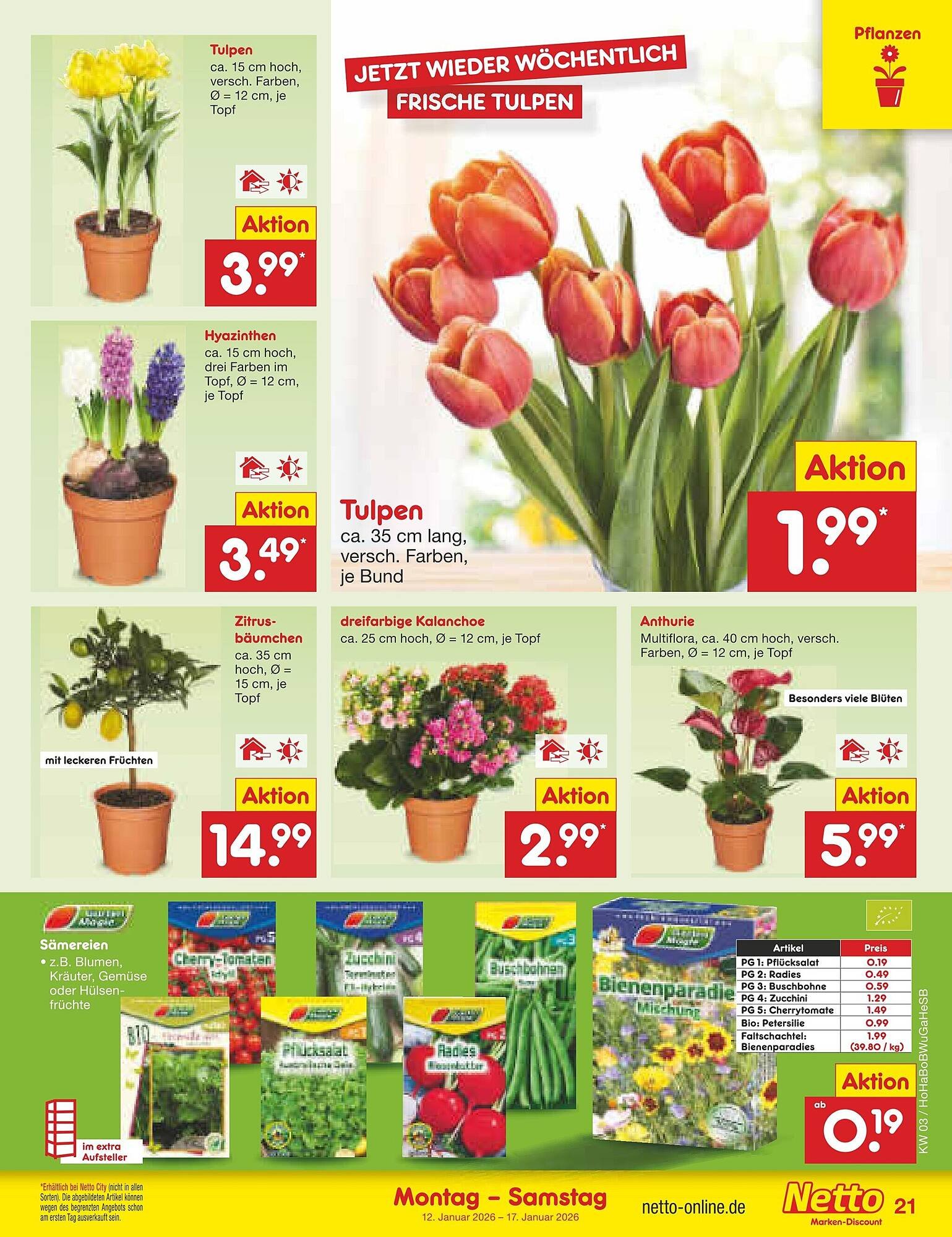Netto Marken-Discount Prospekt (2026-01-12 - 2026-01-17)