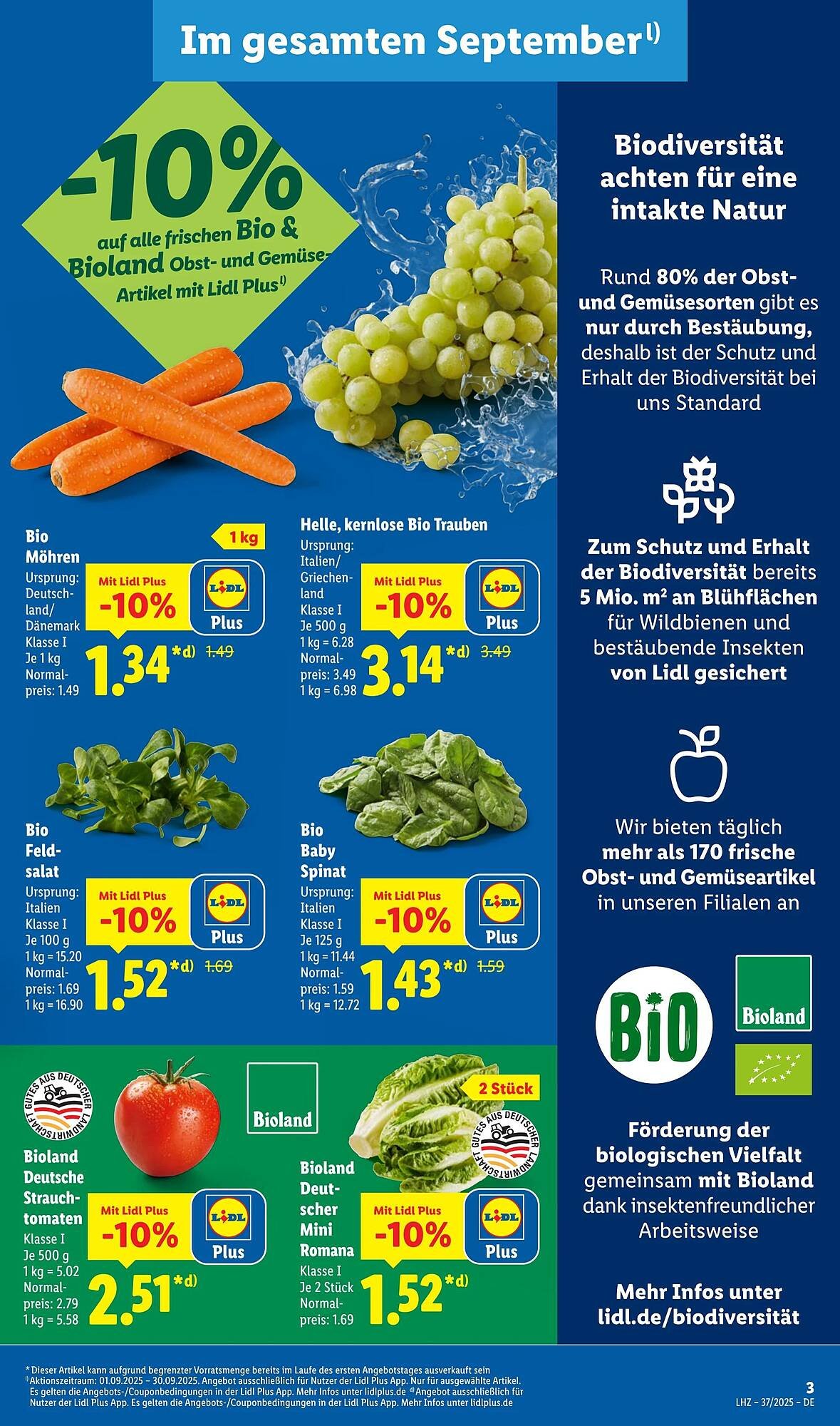 Lidl Prospekt (2025-09-08 - 2025-09-14)