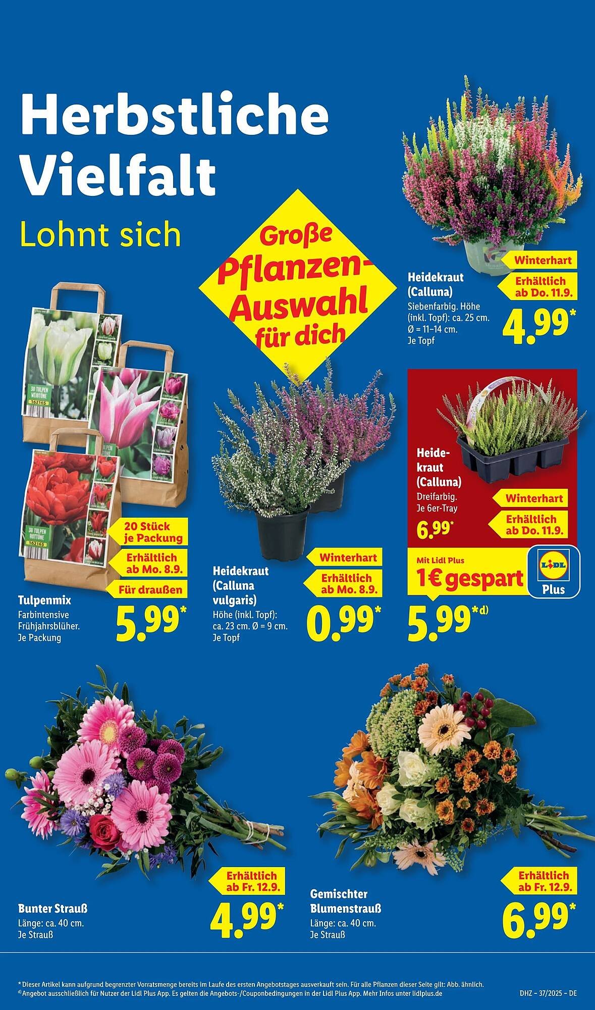Lidl Prospekt (2025-09-08 - 2025-09-14)