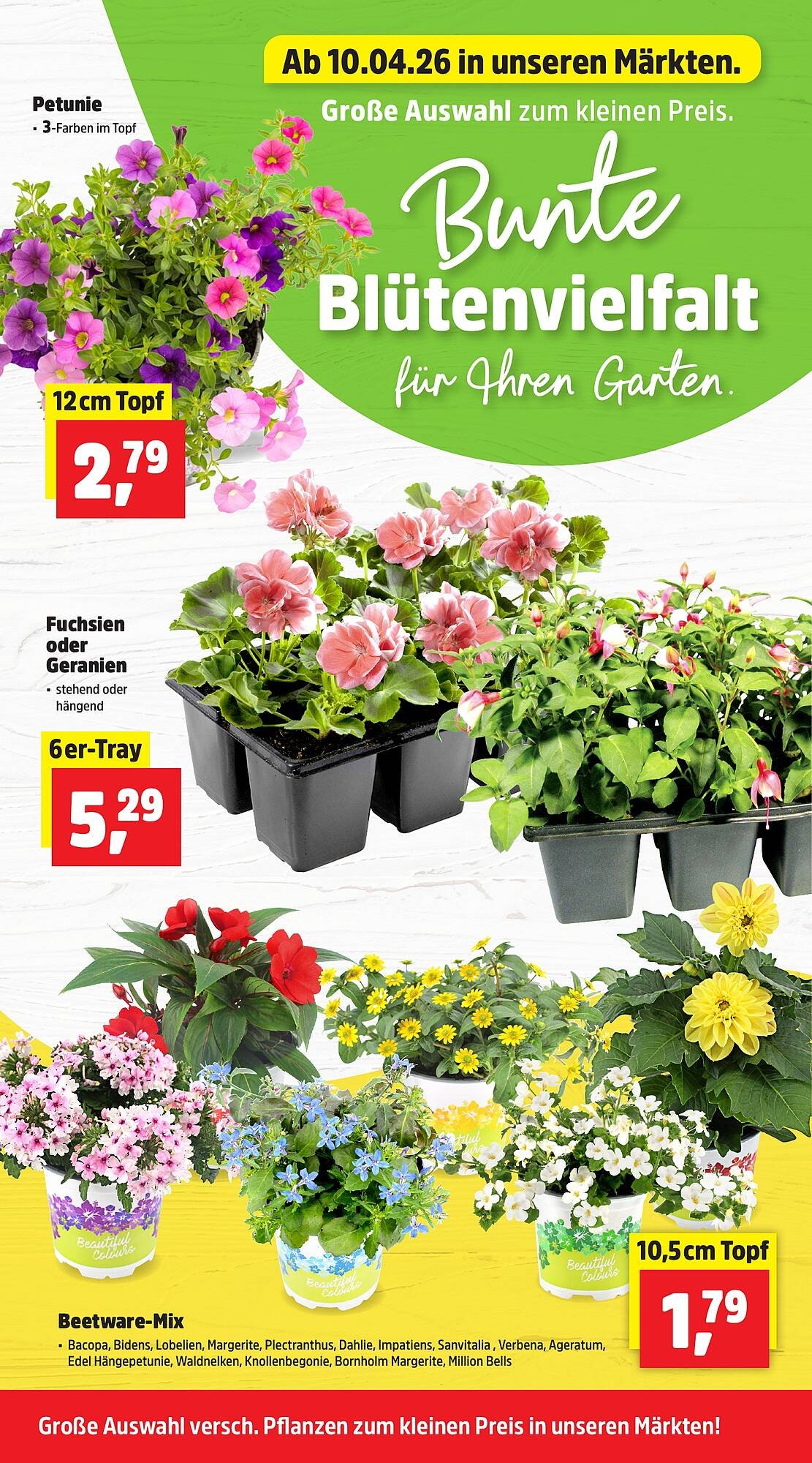 Thomas Philipps Prospekt (2026-04-13 - 2026-04-18)