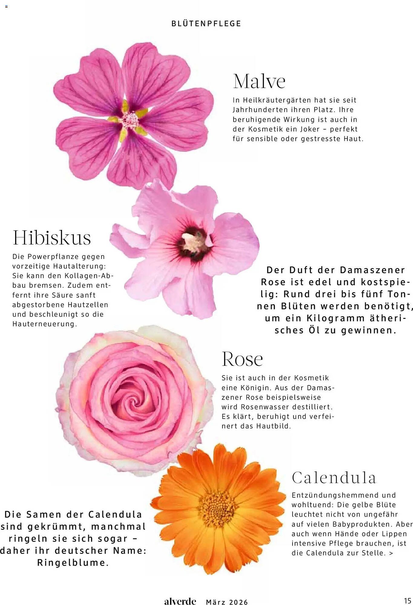 Dm drogerie Magazin (2026-03-01 - 2026-03-31)