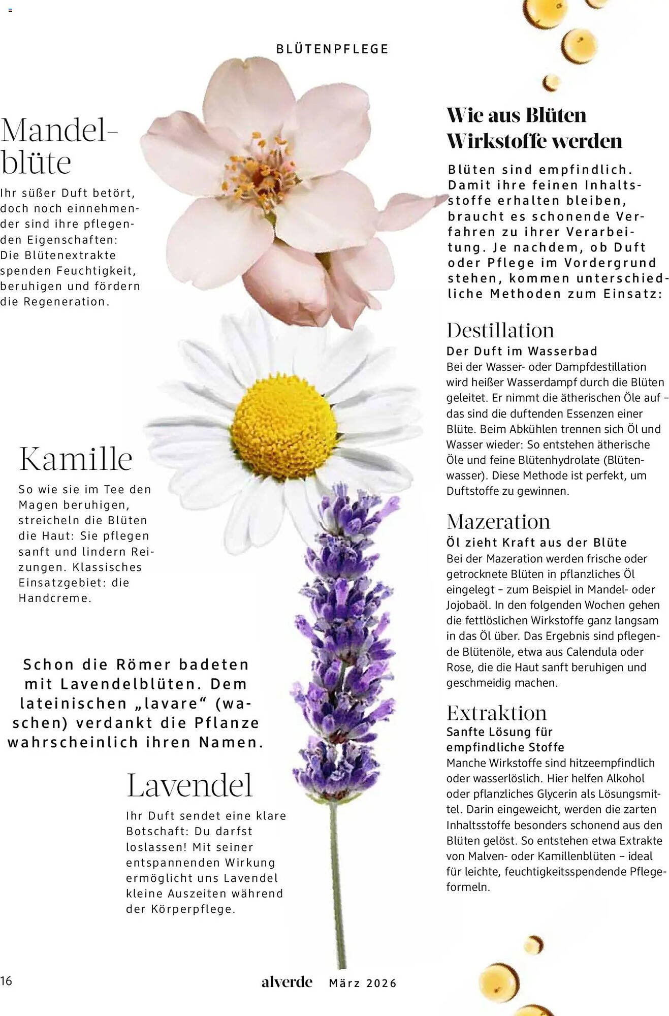 Dm drogerie Magazin (2026-03-01 - 2026-03-31)