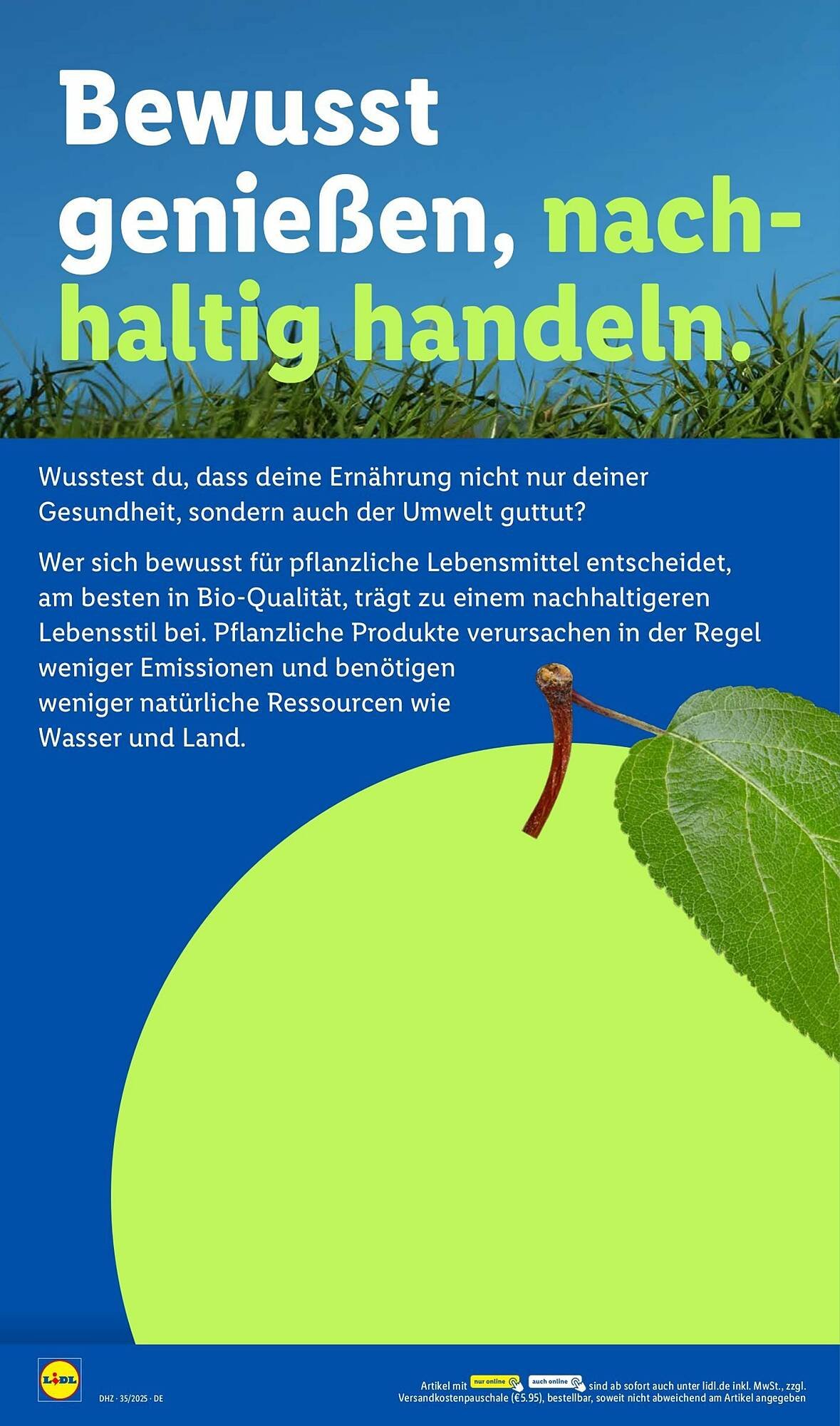Lidl Prospekt (2025-08-25 - 2025-08-30) | 26