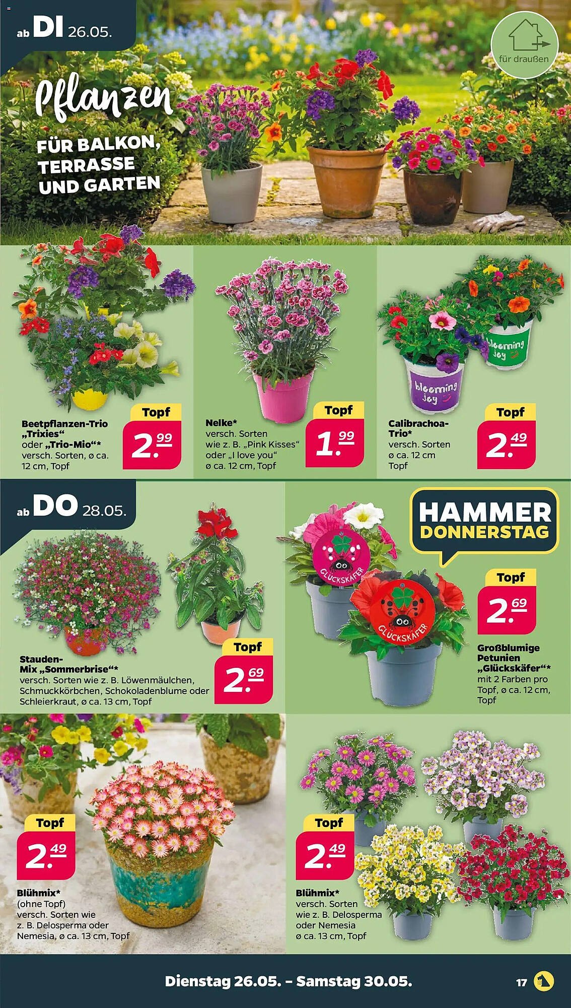 NETTO Prospekt (2026-05-26 - 2026-05-30)