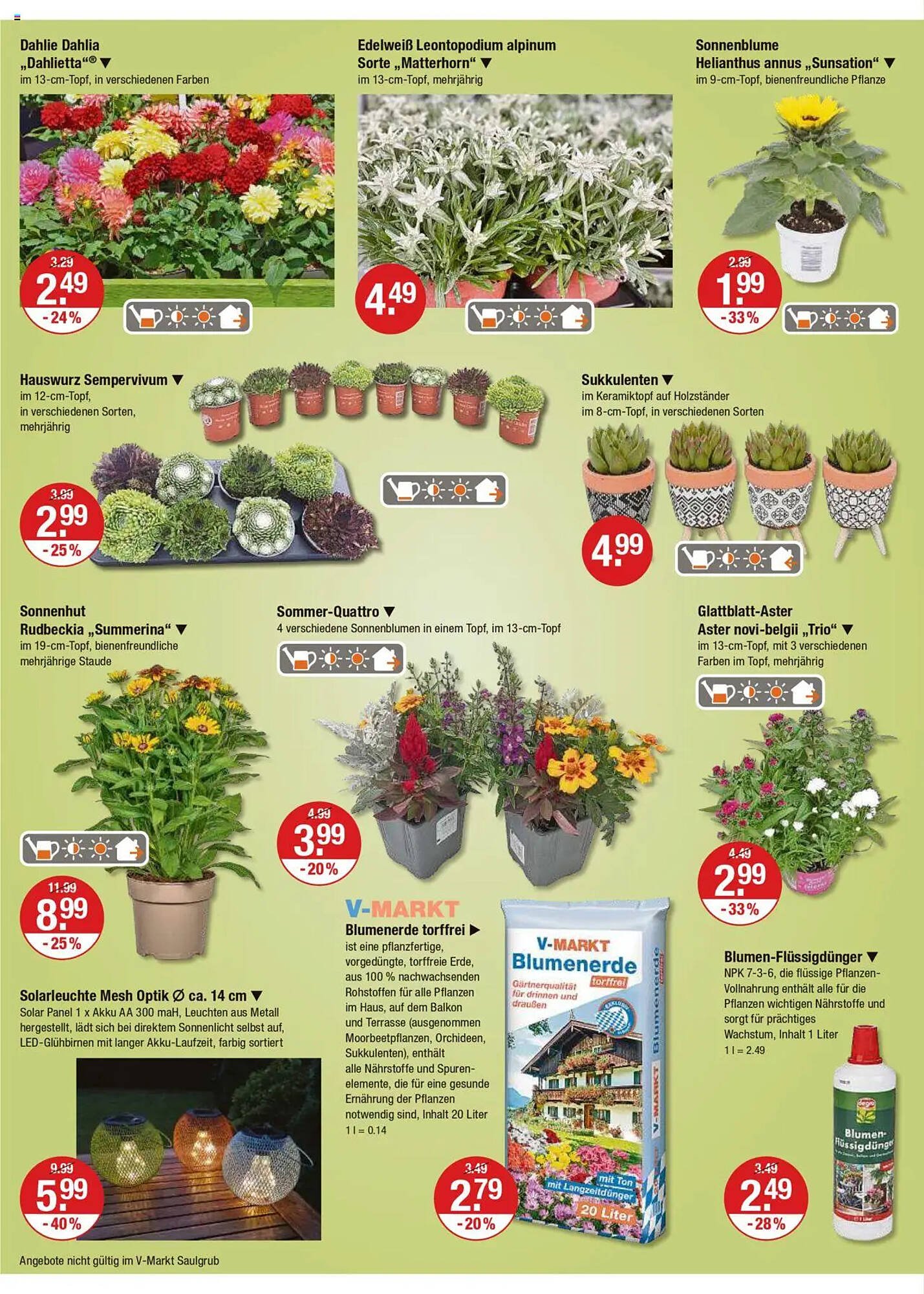 V Markt Prospekt (2025-07-24 - 2025-07-30) | 14