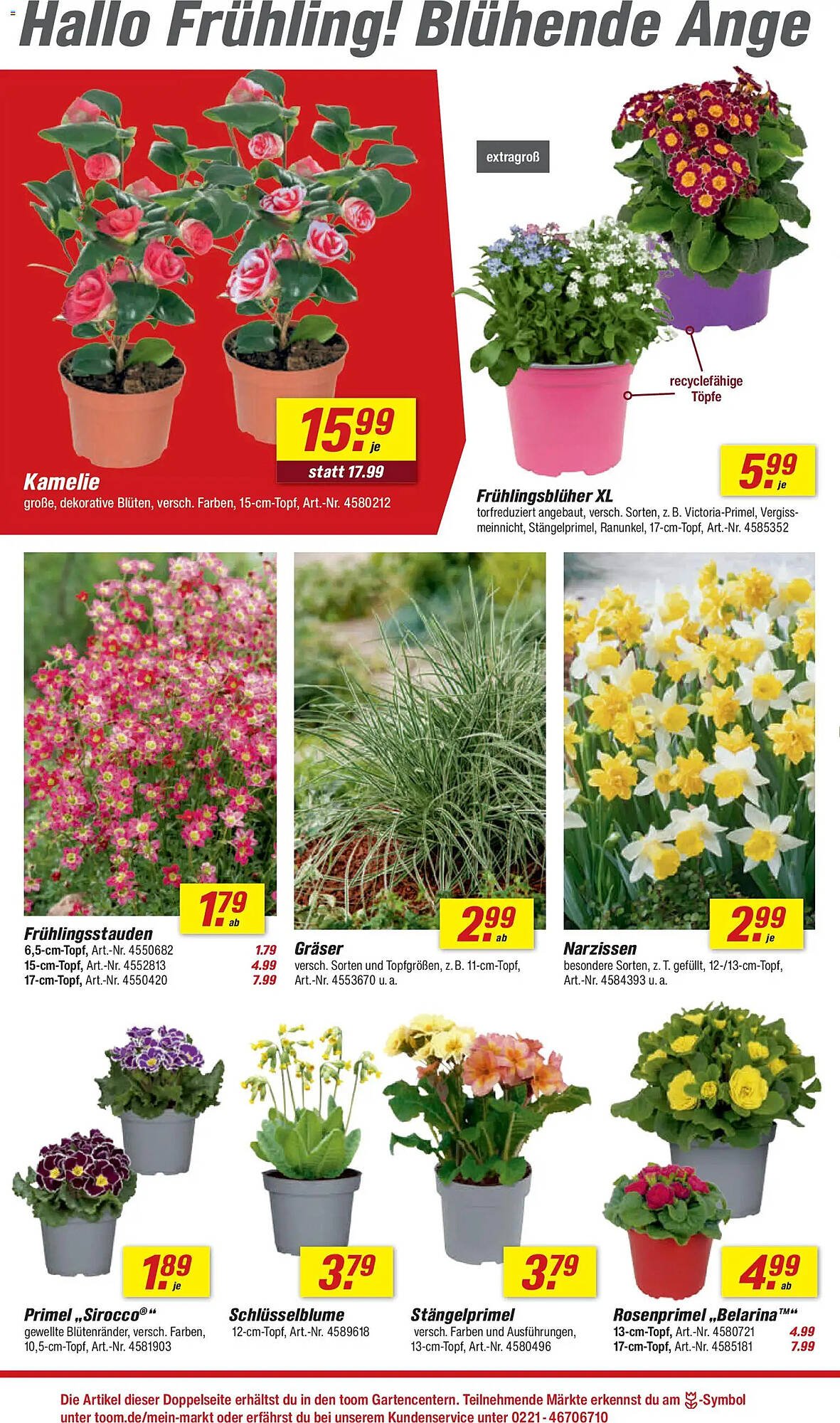 Toom Baumarkt Prospekt