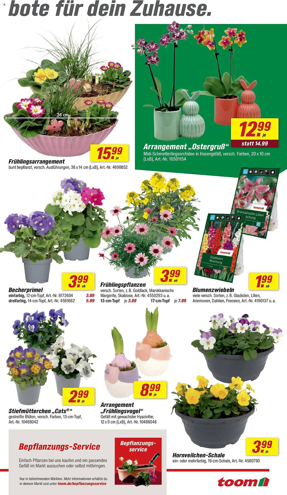 Toom Baumarkt Prospekt