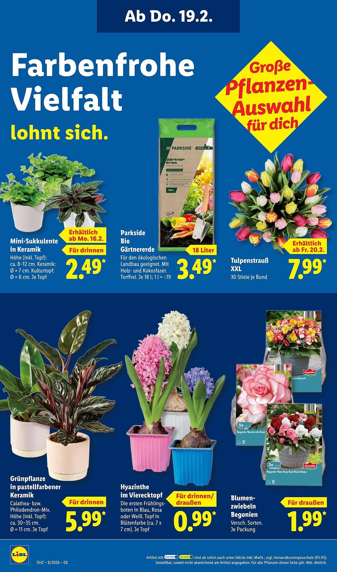 Lidl Prospekt (2026-02-16 - 2026-02-22)