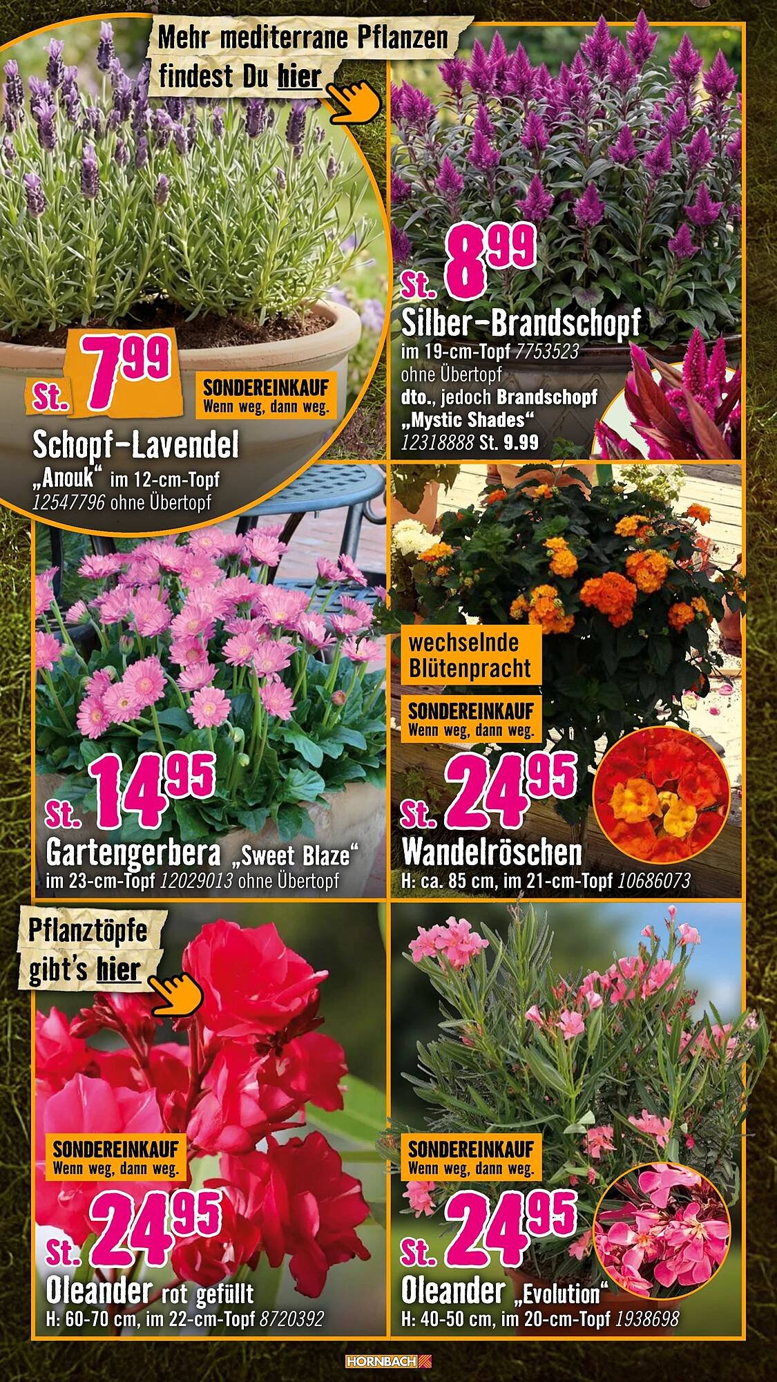 Hornbach Prospekt (2026-05-06 - 2026-06-03)