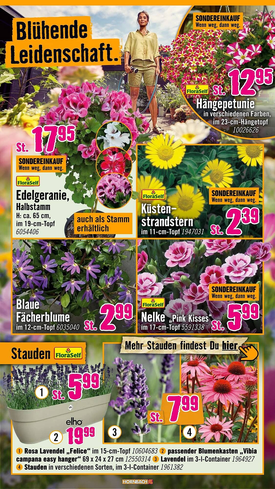Hornbach Prospekt (2026-05-06 - 2026-06-03)