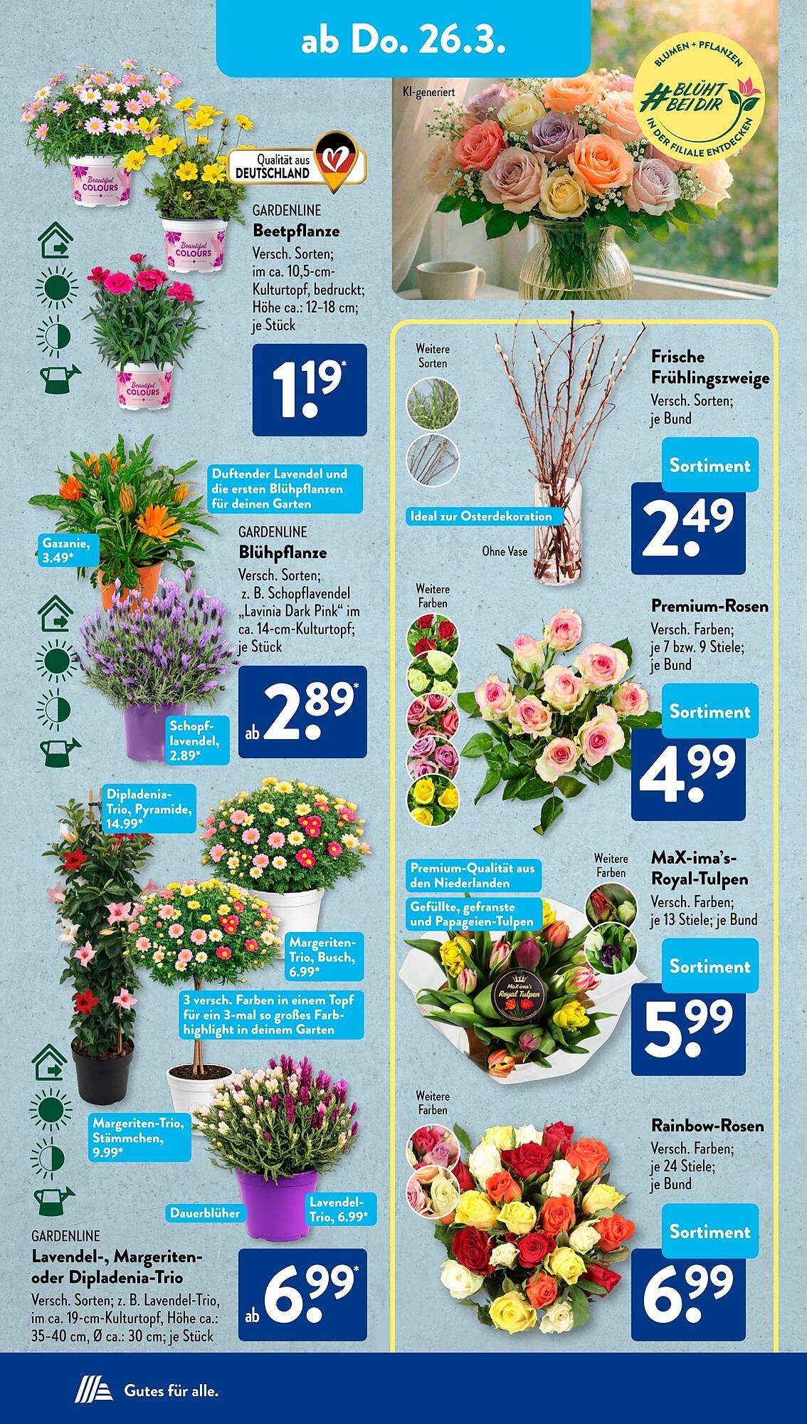 Aldi Süd Prospekt (2026-03-23 - 2026-03-29)