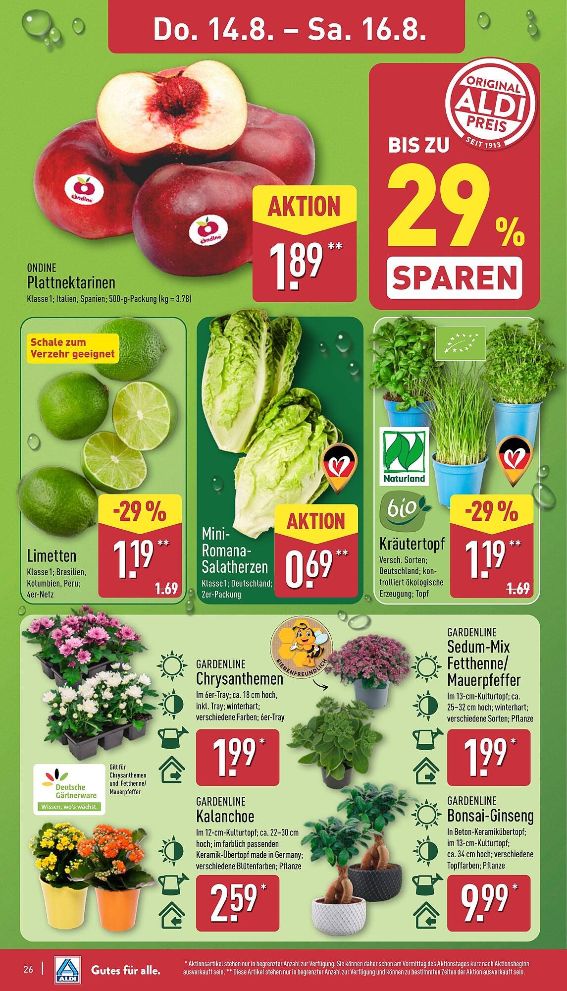 Aldi Nord Prospekt (2025-08-11 - 2025-08-16) | 26