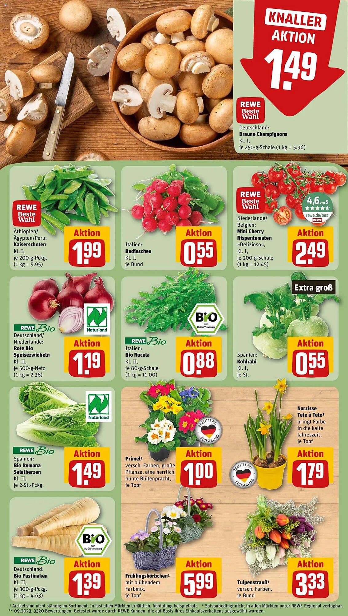 REWE Kaufpark Prospekt (2026-01-05 - 2026-01-11)