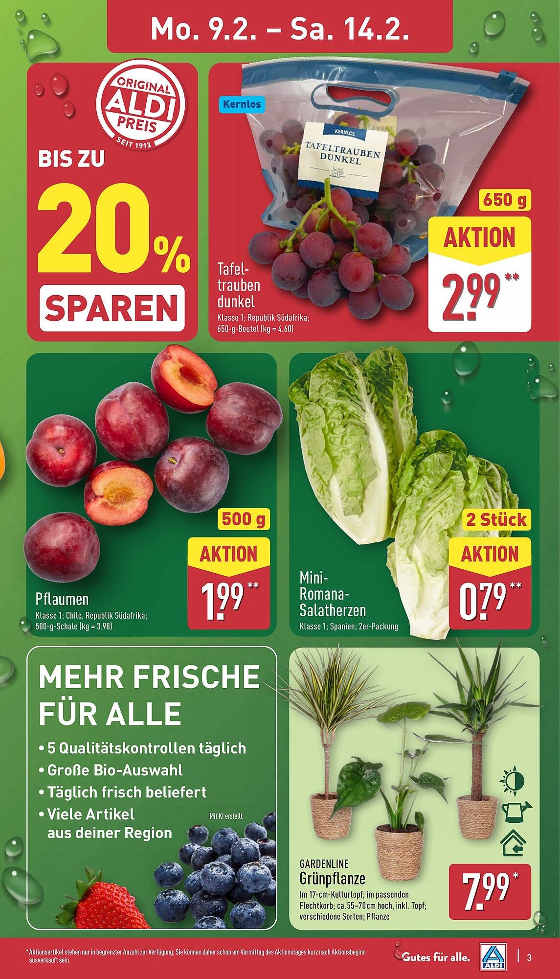 Aldi Nord Prospekt (2026-02-09 - 2026-02-14)