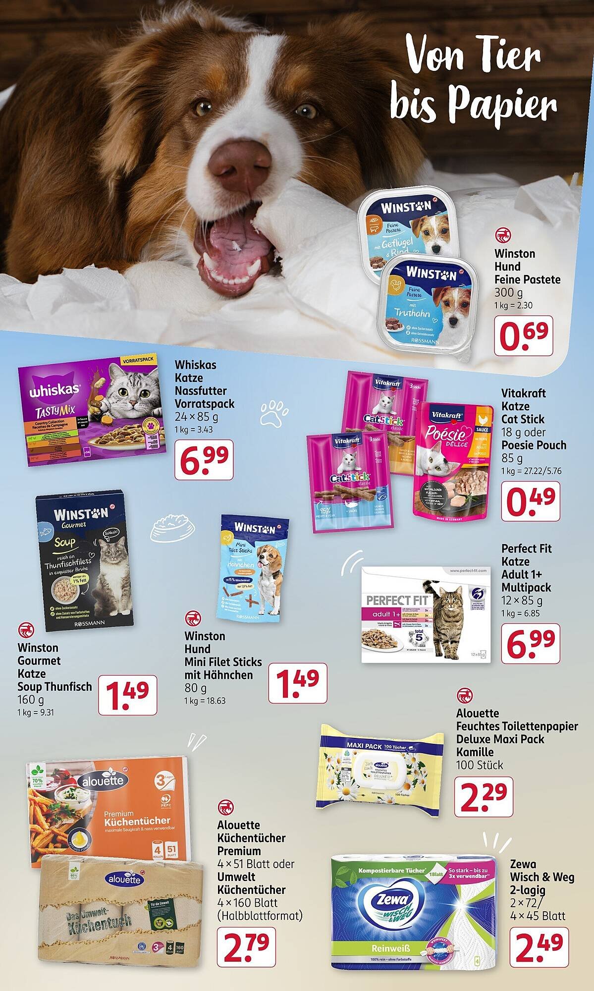 Rossmann Prospekt (2025-11-03 - 2025-11-07)