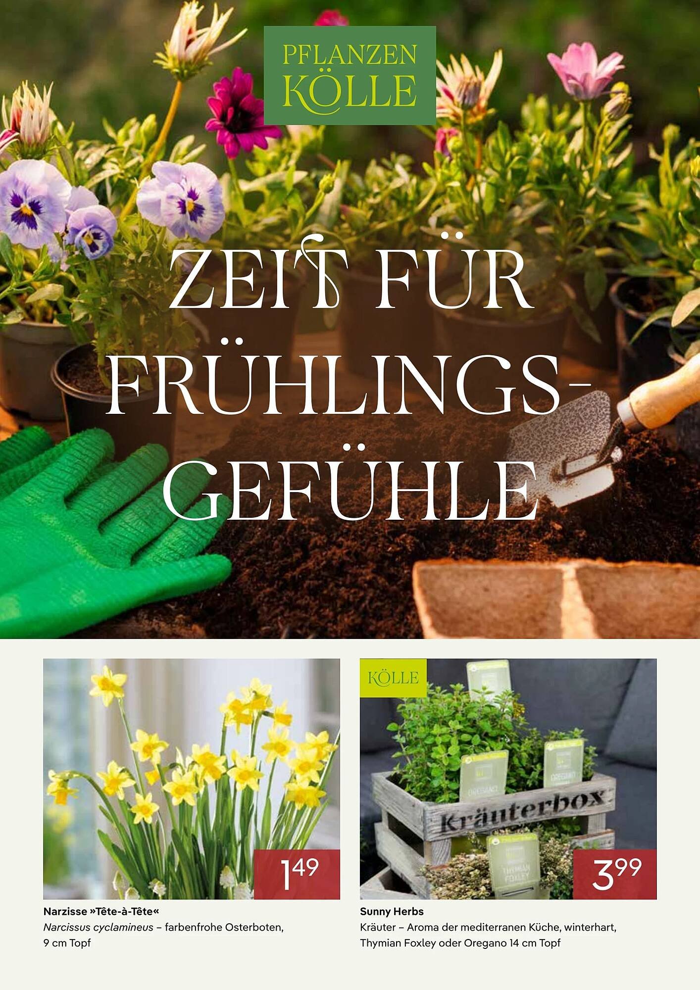 Pflanzen Kölle Prospekt (2026-02-01 - 2026-03-01)