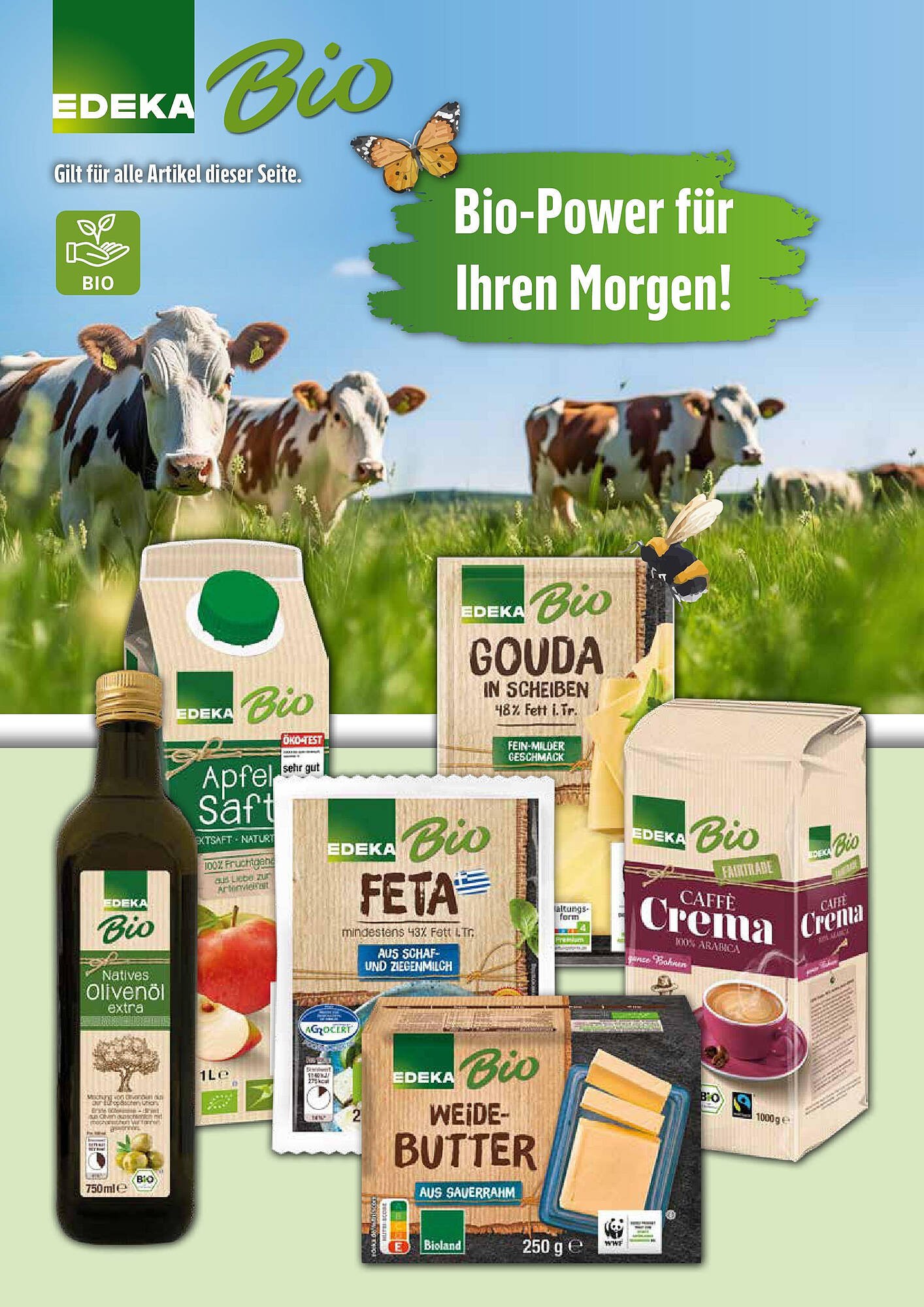 Marktkauf Prospekt (2025-08-31 - 2025-09-06) | 25