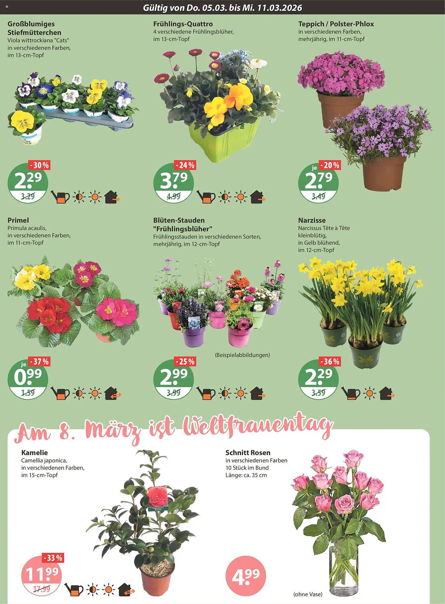 V Markt Prospekt (2026-03-05 - 2026-03-11)