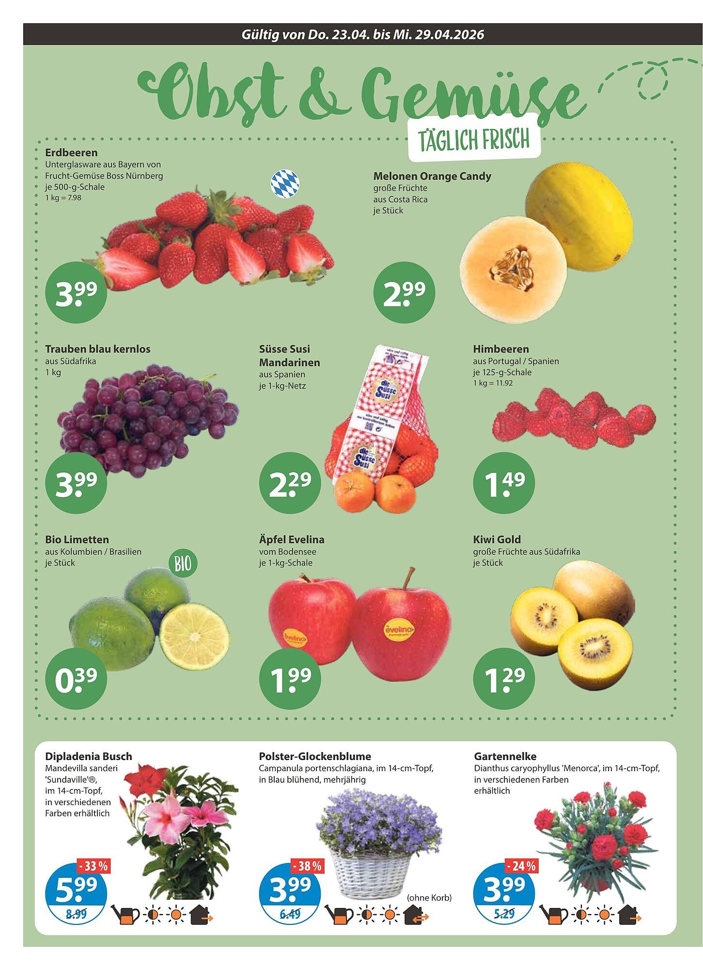 V Baumarkt Prospekt (2026-04-23 - 2026-04-29)