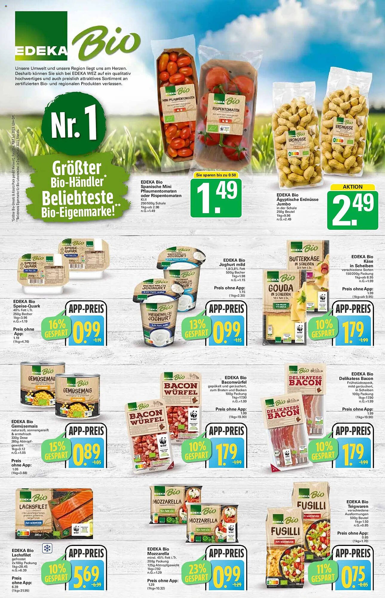 WEZ Prospekt (2025-11-17 - 2025-11-22)