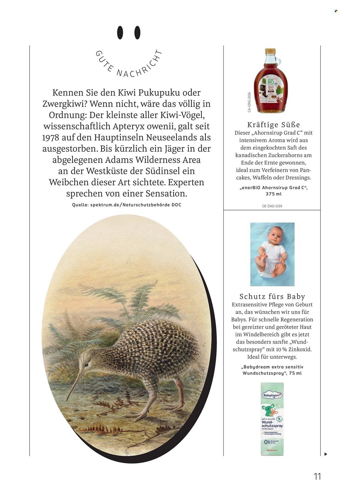 Rossmann Prospekt (2025-10-01 - 2025-10-31)