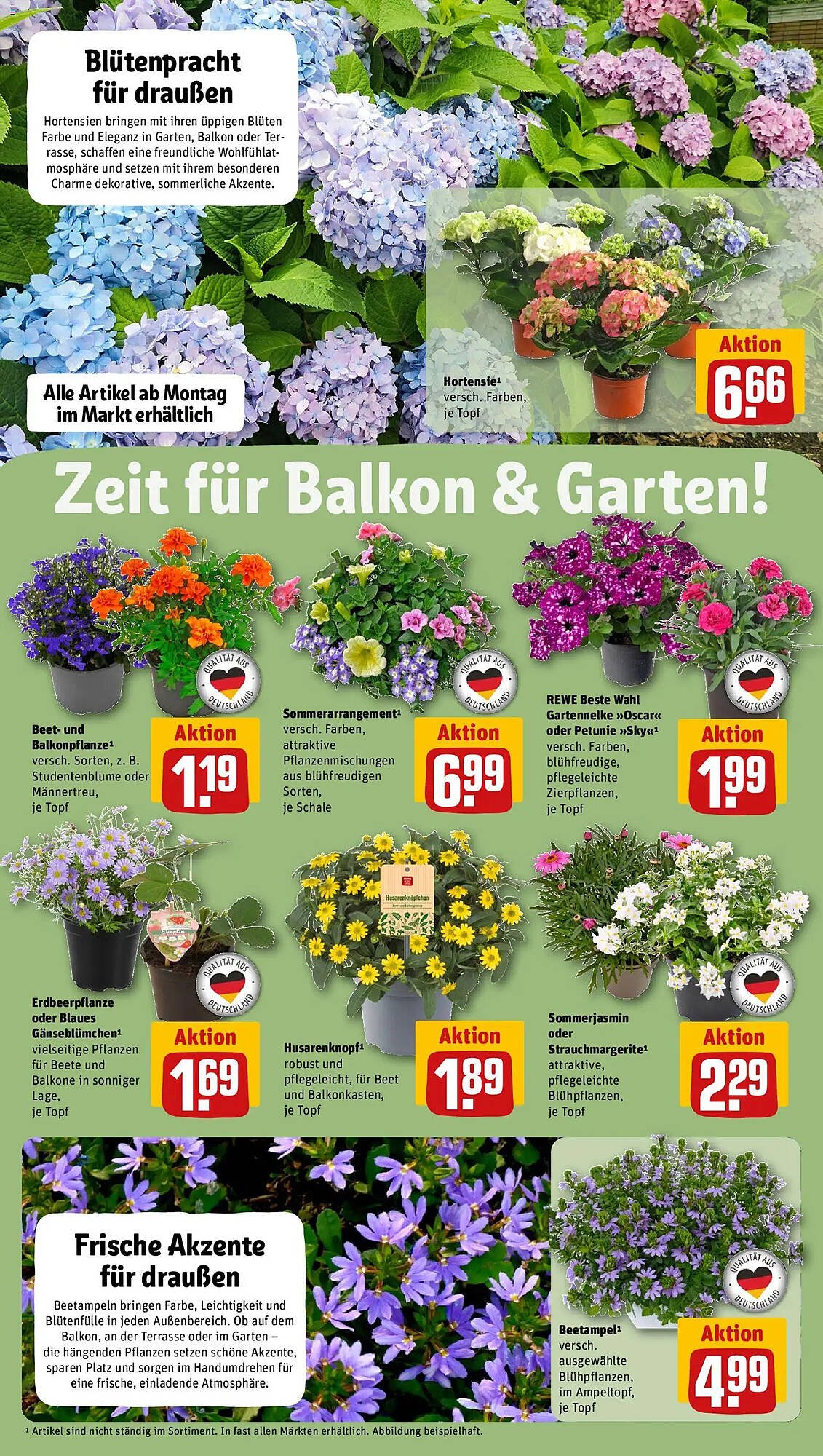 REWE Kaufpark Prospekt (2026-05-12 - 2026-05-17)