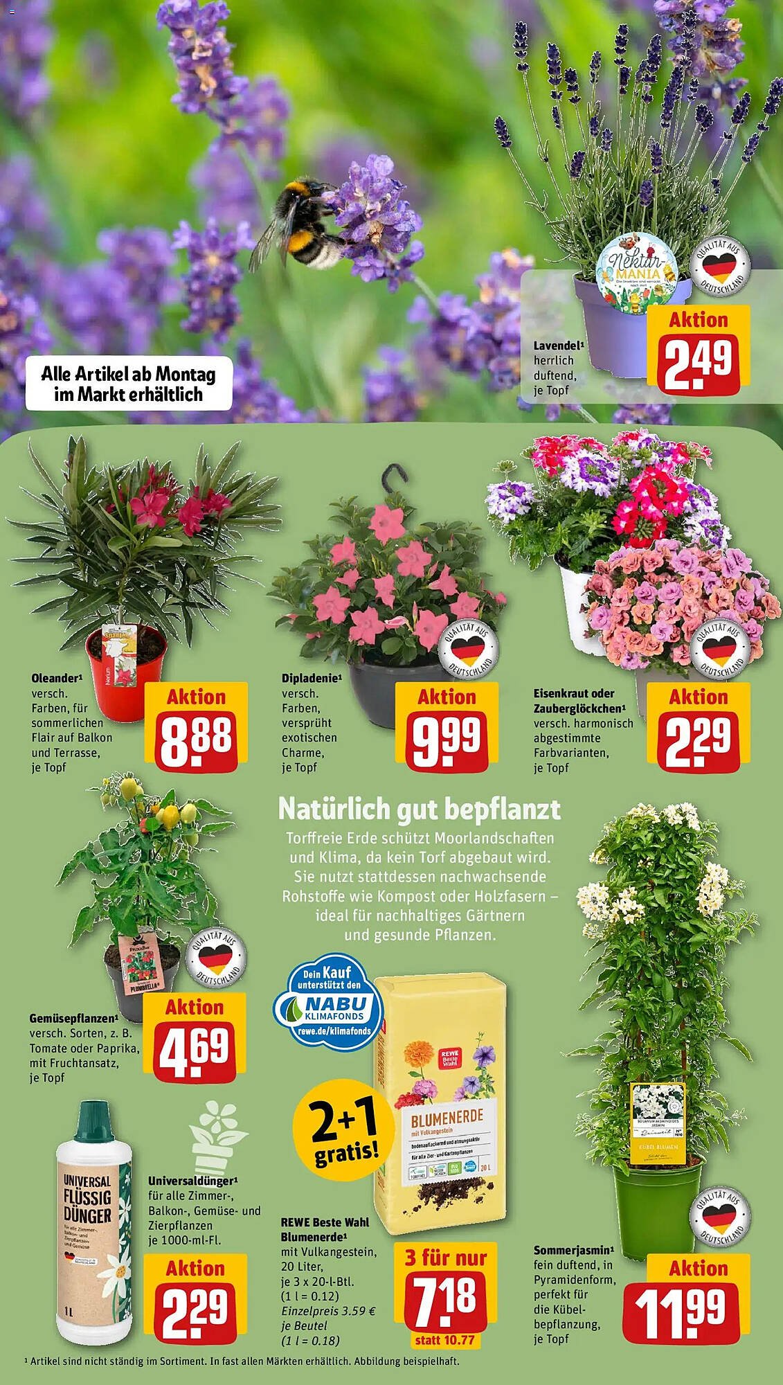 REWE Kaufpark Prospekt (2026-05-12 - 2026-05-17)