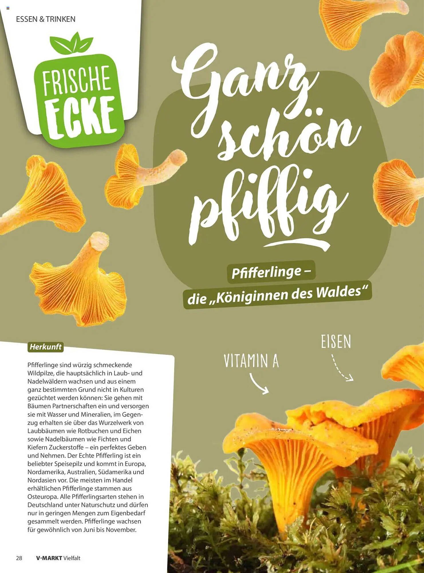 V Markt Prospekt (2025-09-01 - 2025-10-31) | 28