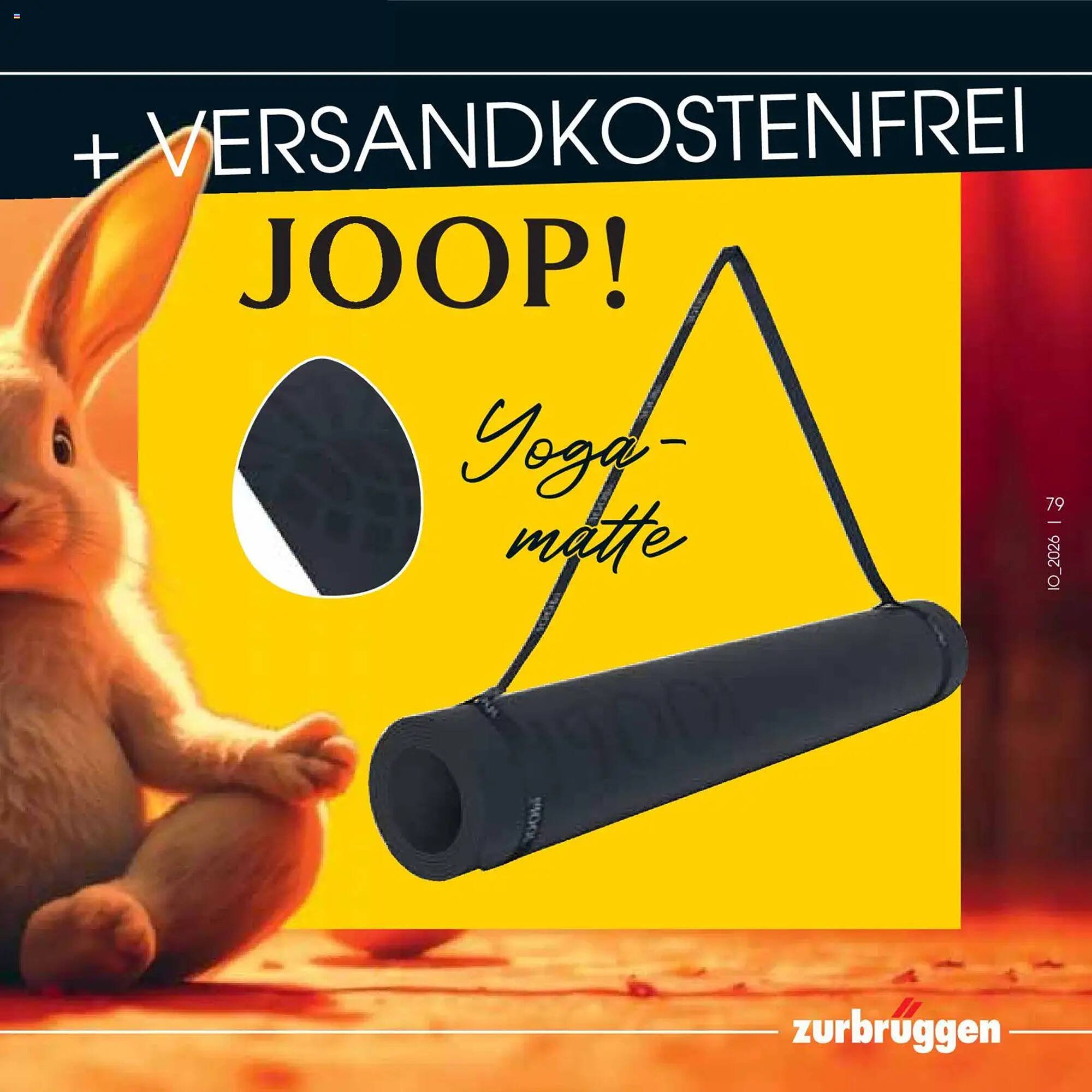 Zurbrüggen Prospekt