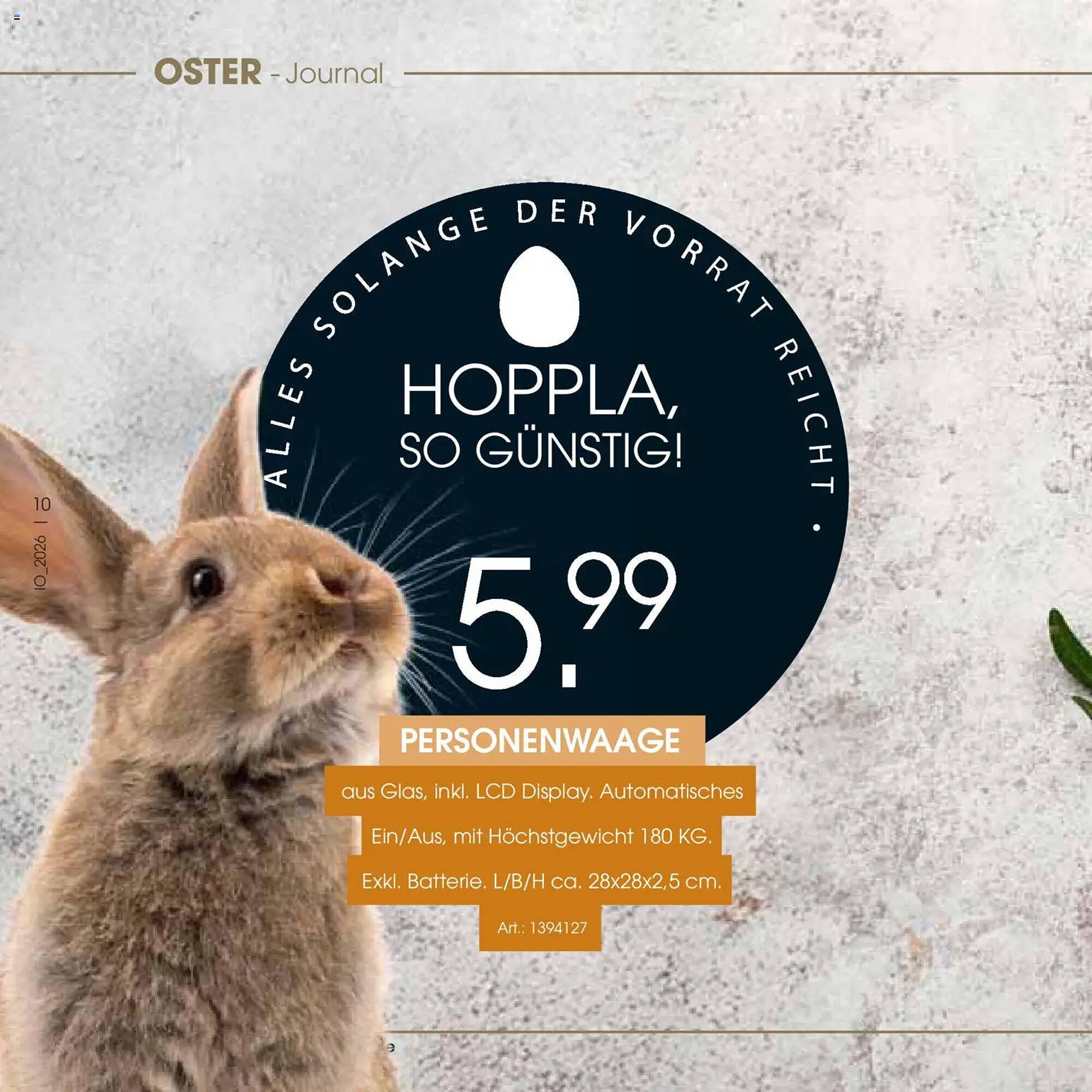 Zurbrüggen Prospekt