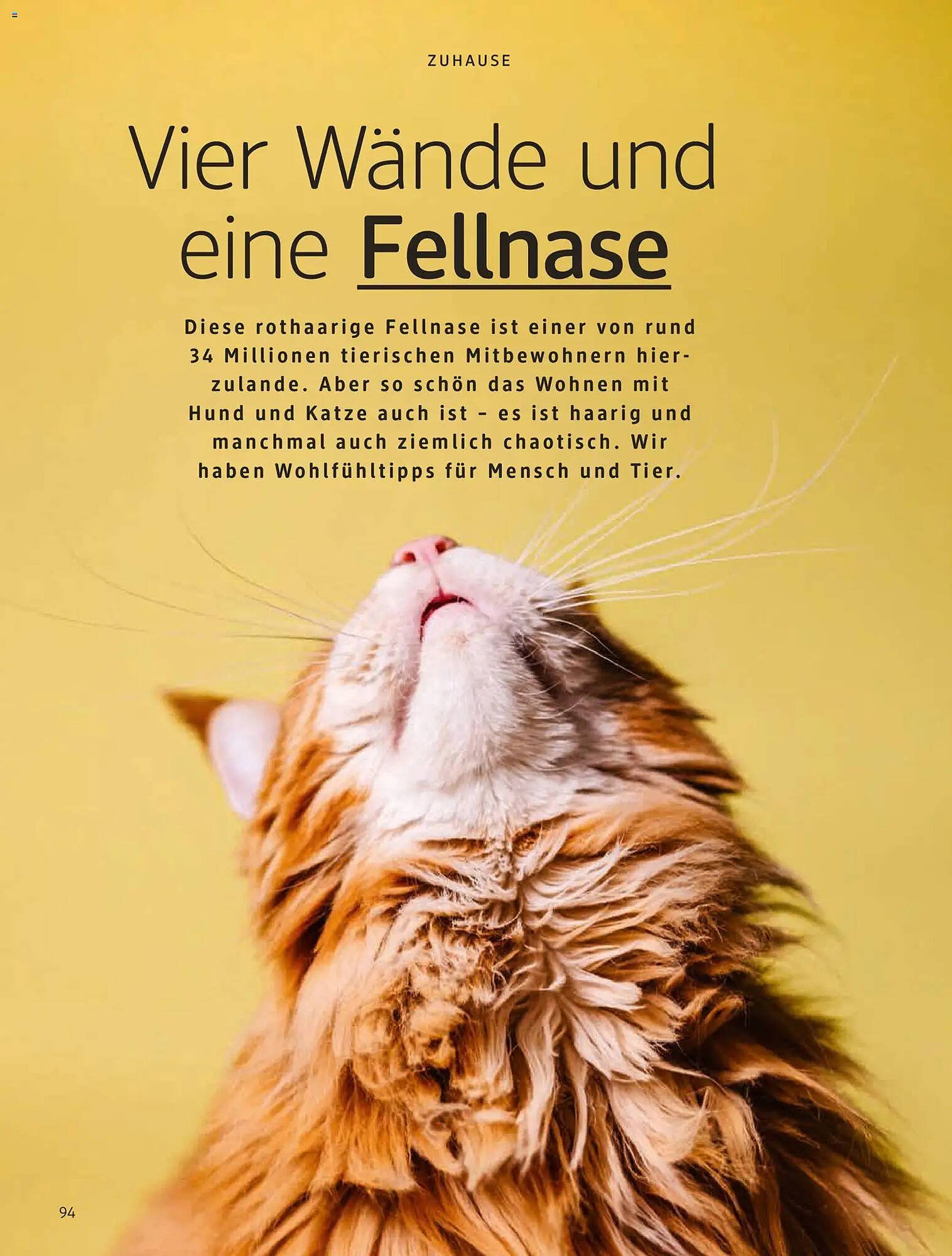 Dm drogerie Magazin (2026-01-01 - 2026-01-31)