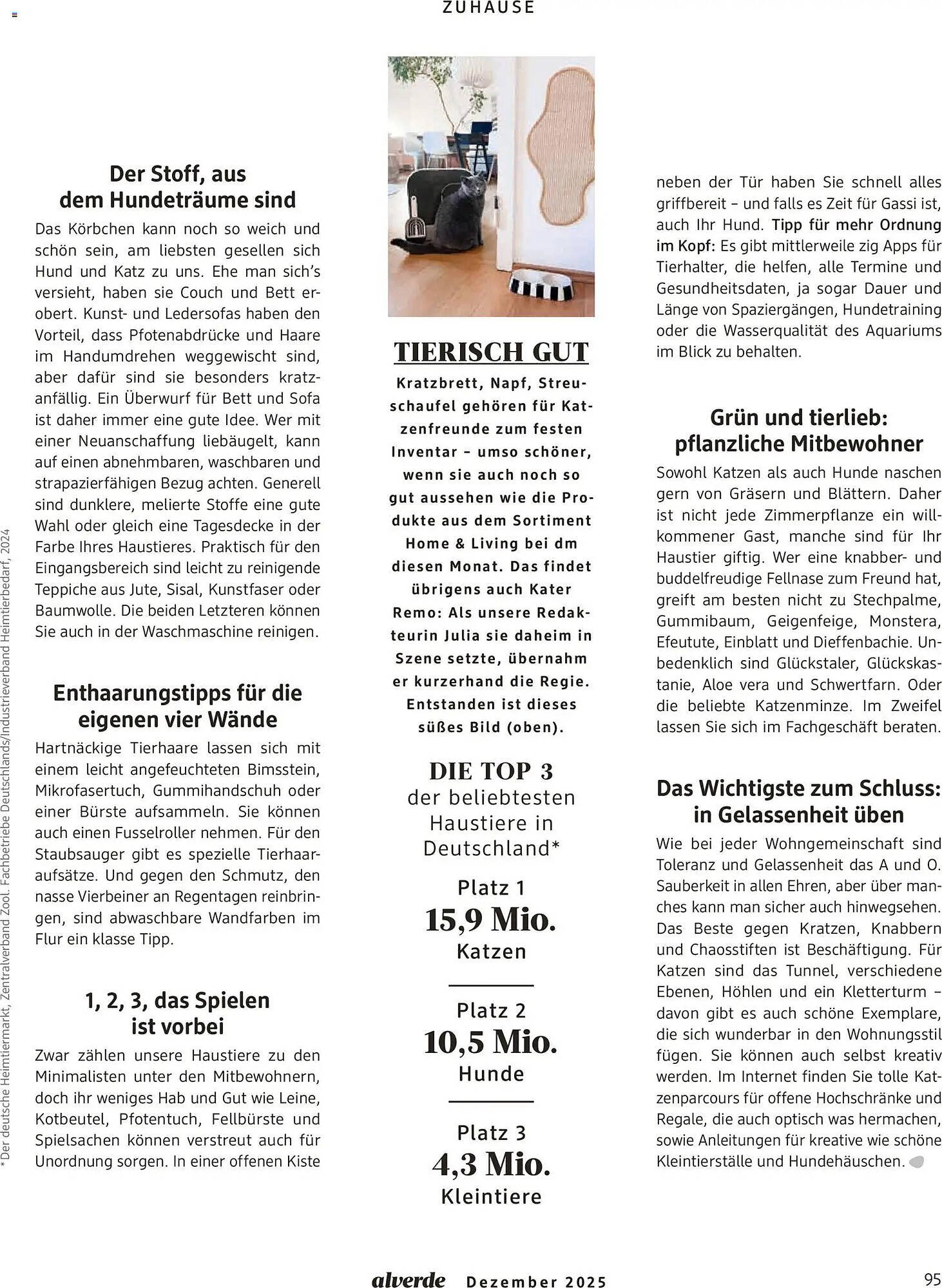 Dm drogerie Magazin (2026-01-01 - 2026-01-31)