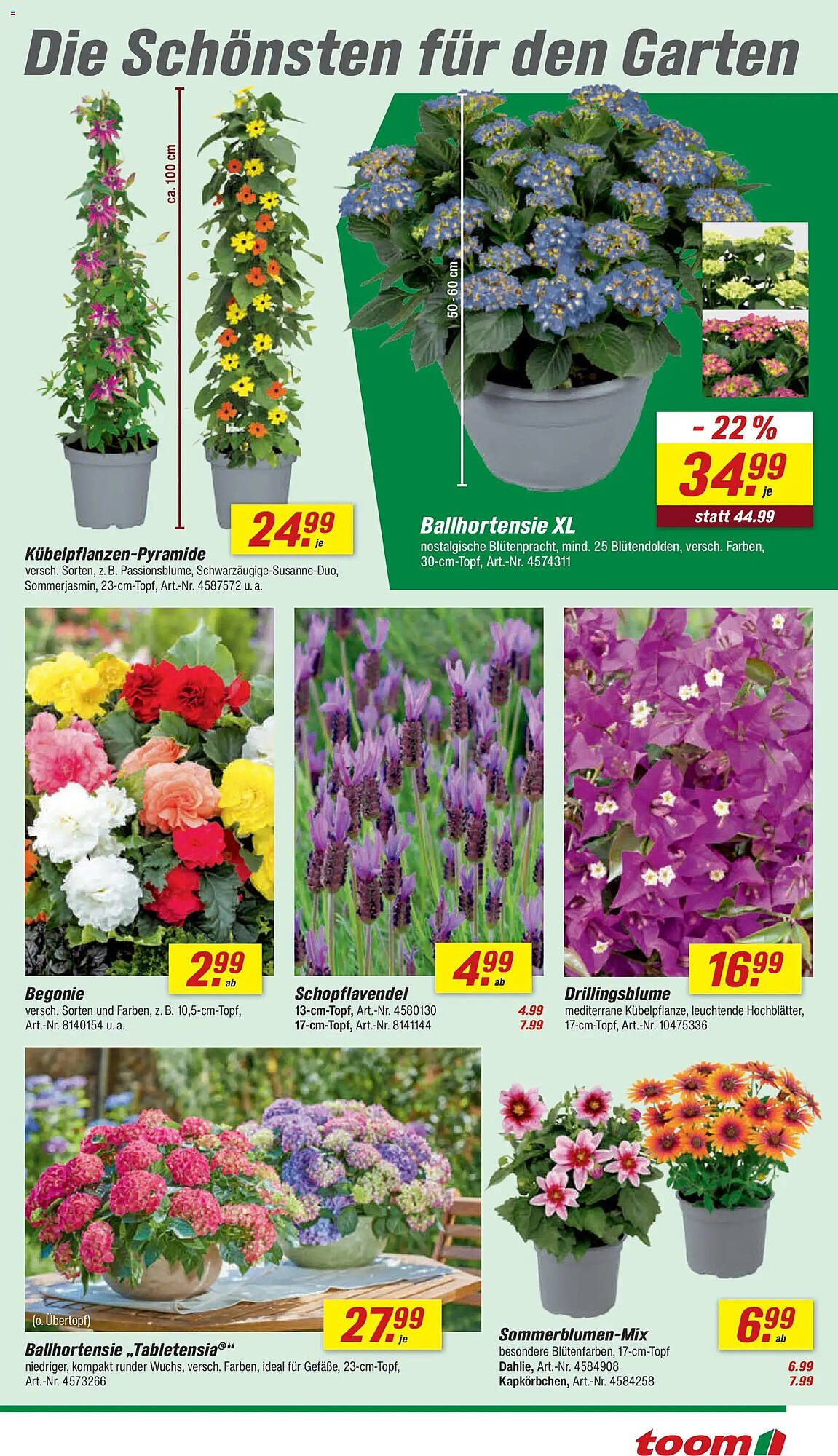 Toom Baumarkt Prospekt (2026-05-02 - 2026-05-08)