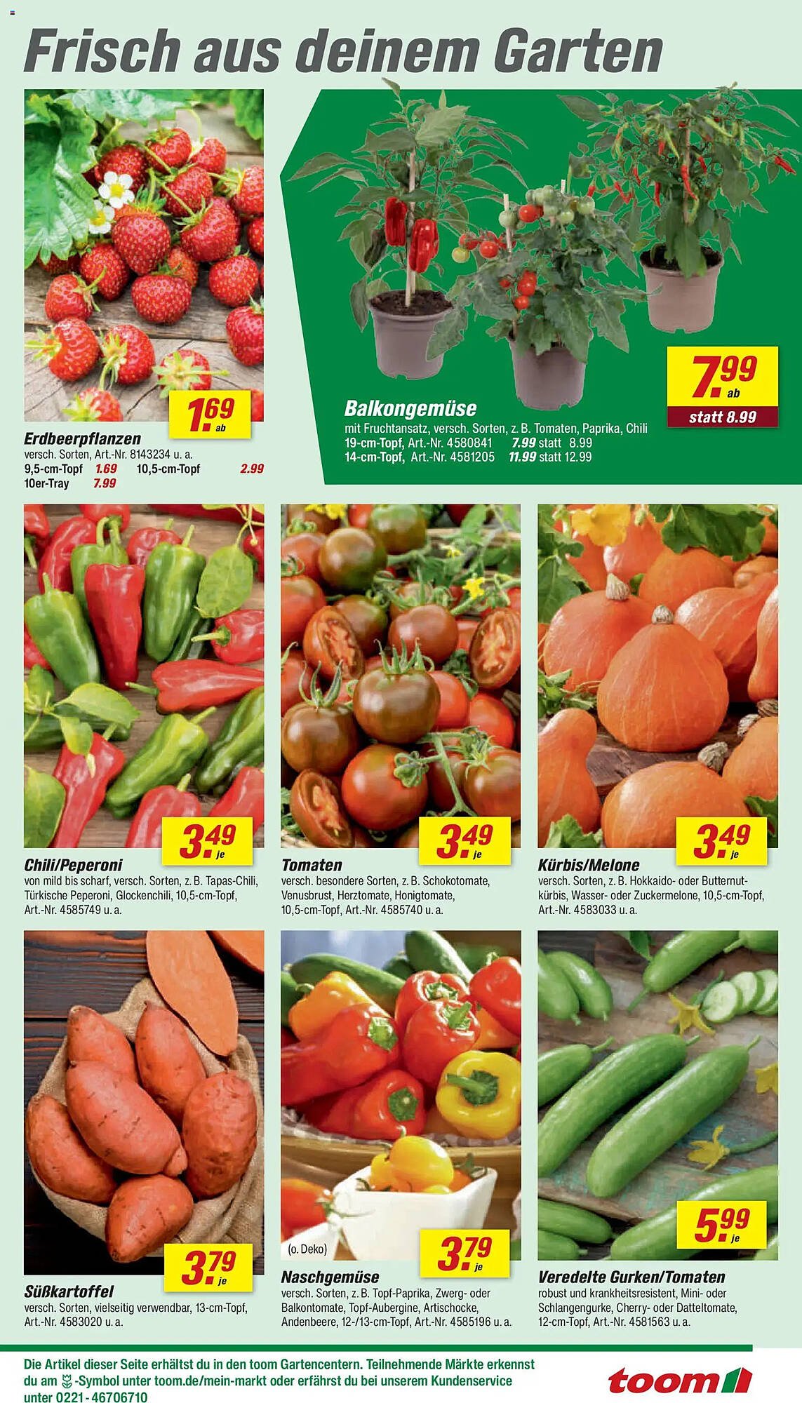 Toom Baumarkt Prospekt (2026-05-02 - 2026-05-08)