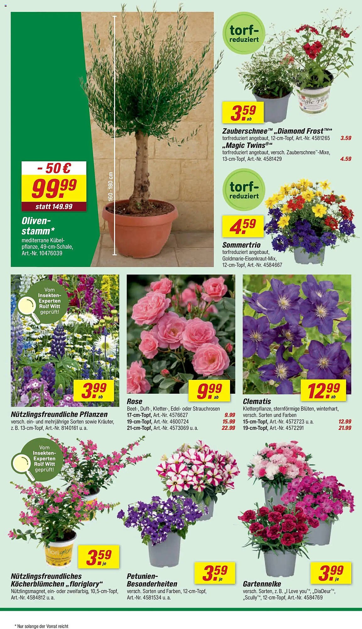 Toom Baumarkt Prospekt (2026-05-02 - 2026-05-08)