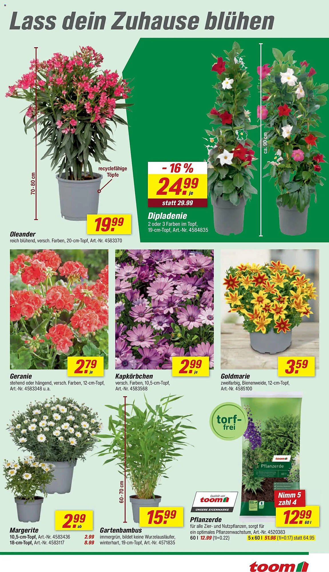 Toom Baumarkt Prospekt (2026-05-02 - 2026-05-08)