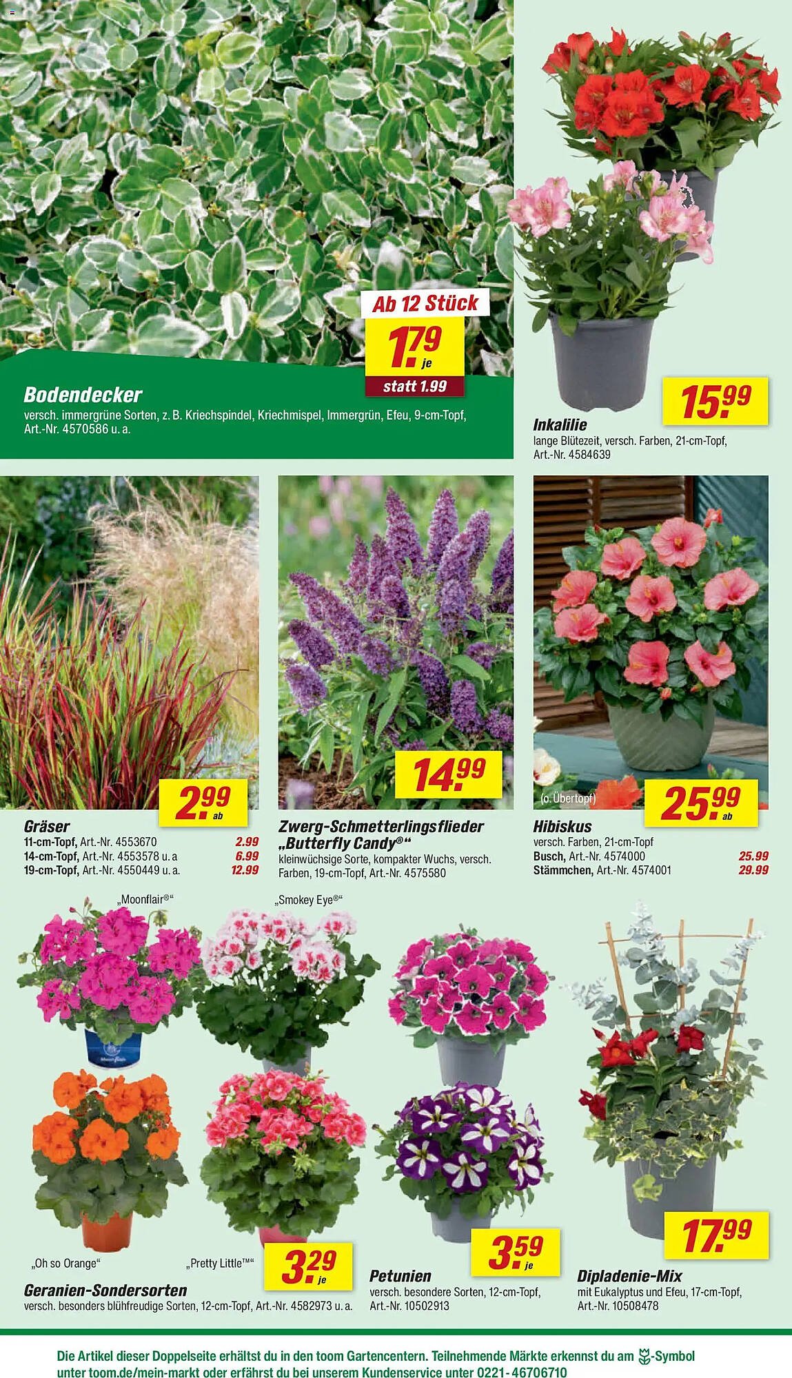 Toom Baumarkt Prospekt (2026-05-02 - 2026-05-08)