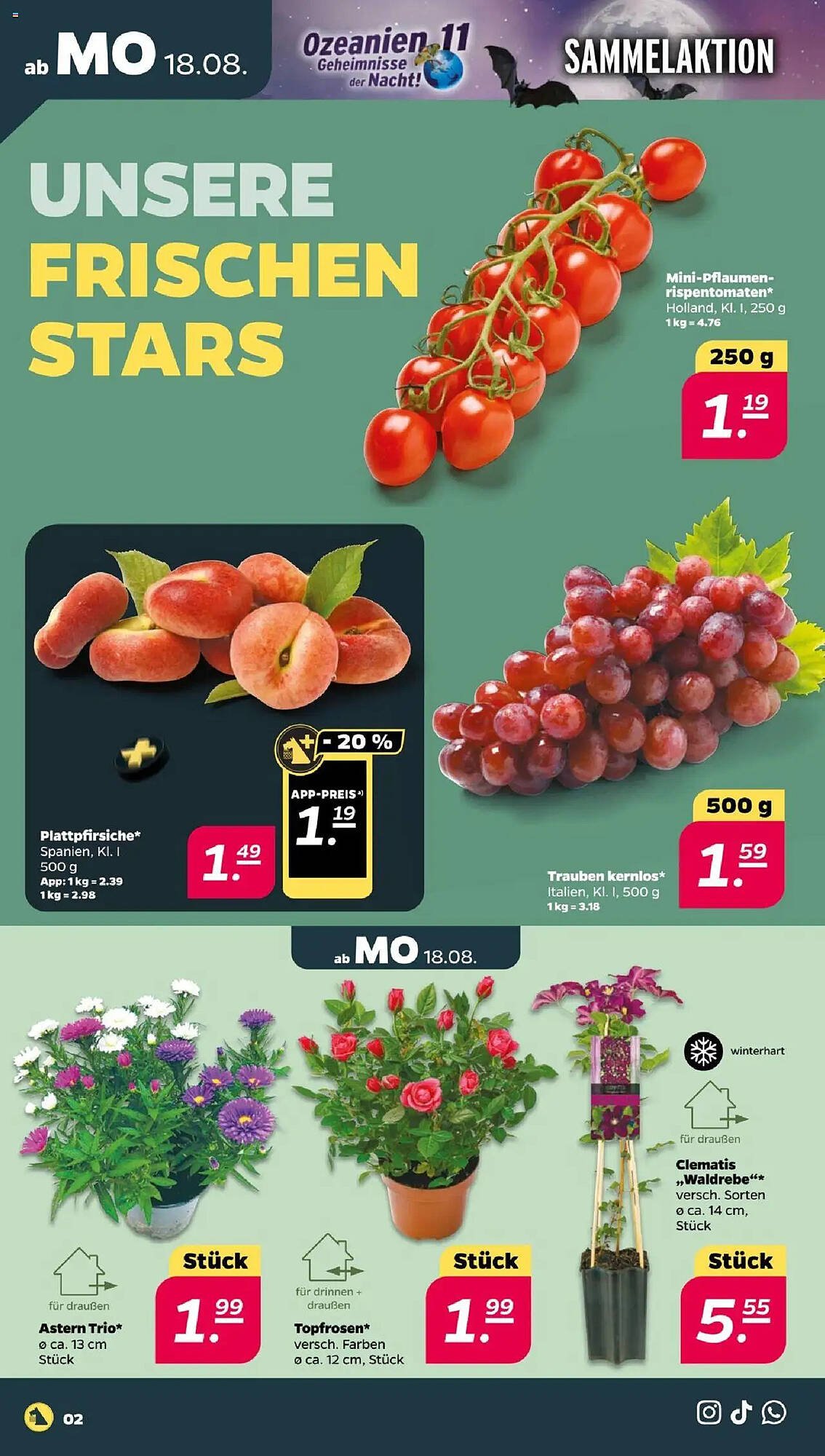 NETTO Prospekt (2025-08-18 - 2025-08-23) | 2