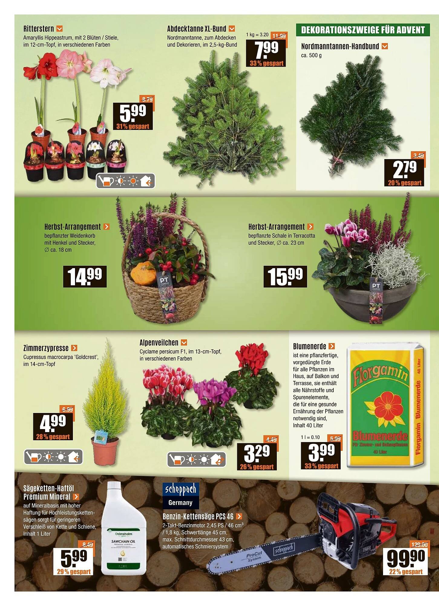 V Baumarkt Prospekt (2025-10-30 - 2025-11-06)