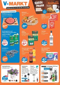 V Markt Prospekt