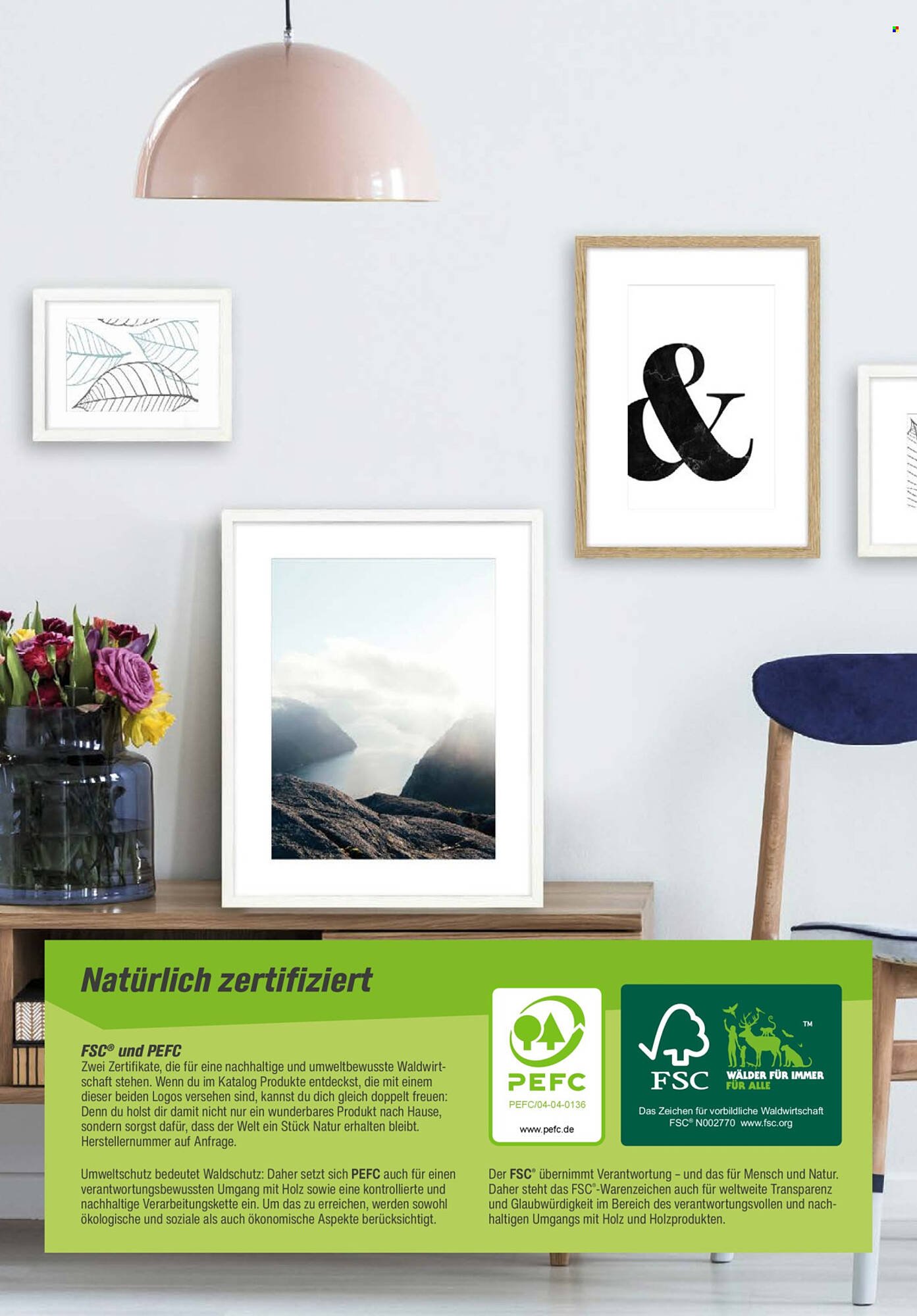 Toom Baumarkt Prospekt