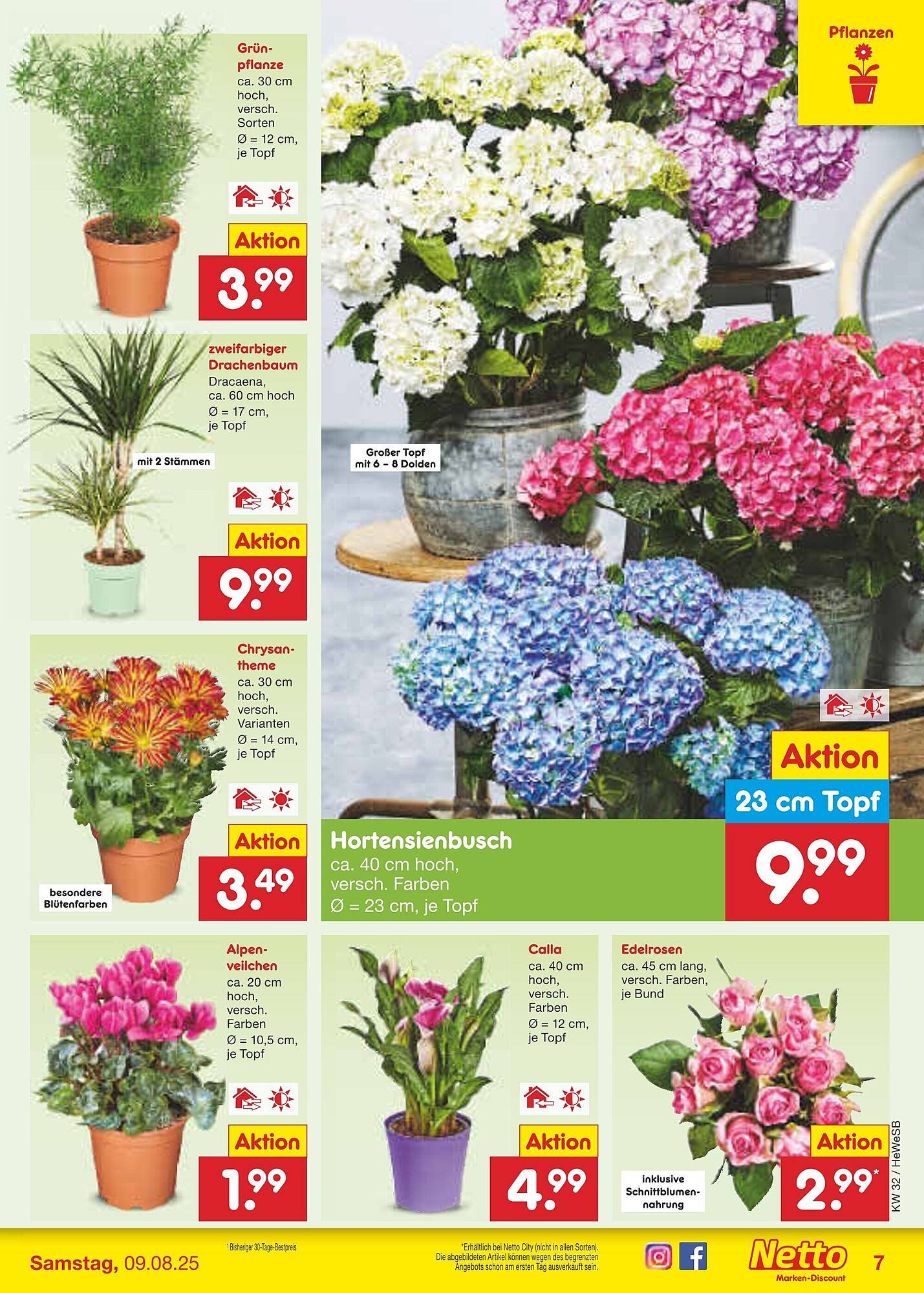 Netto Marken-Discount Prospekt (2025-08-04 - 2025-08-09)