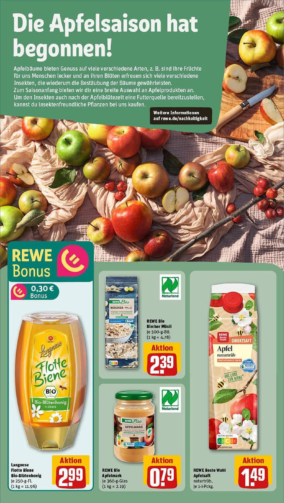 REWE Prospekt (2025-08-10 - 2025-08-17) | 14