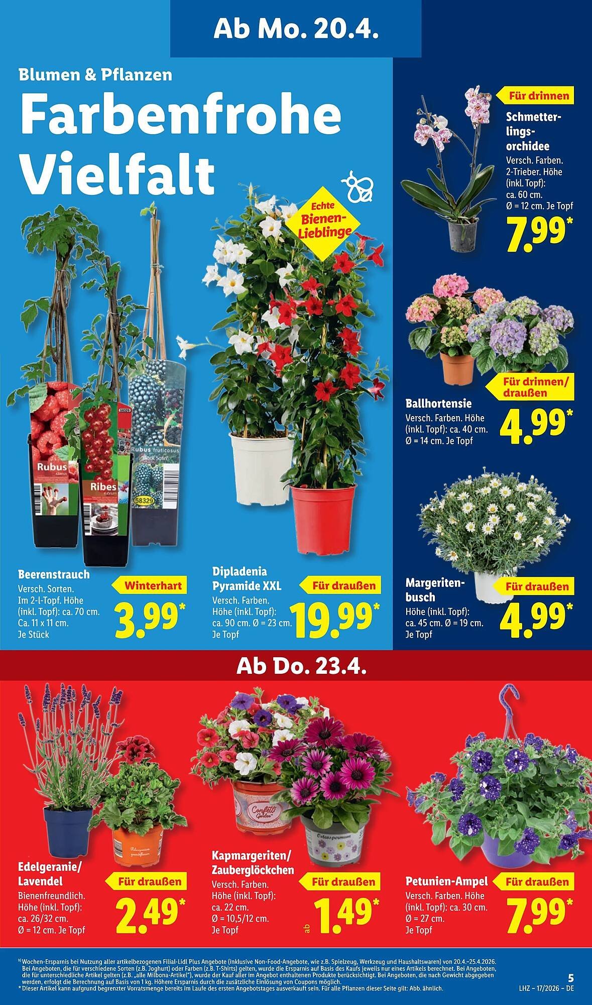 Lidl Prospekt (2026-04-20 - 2026-04-26)