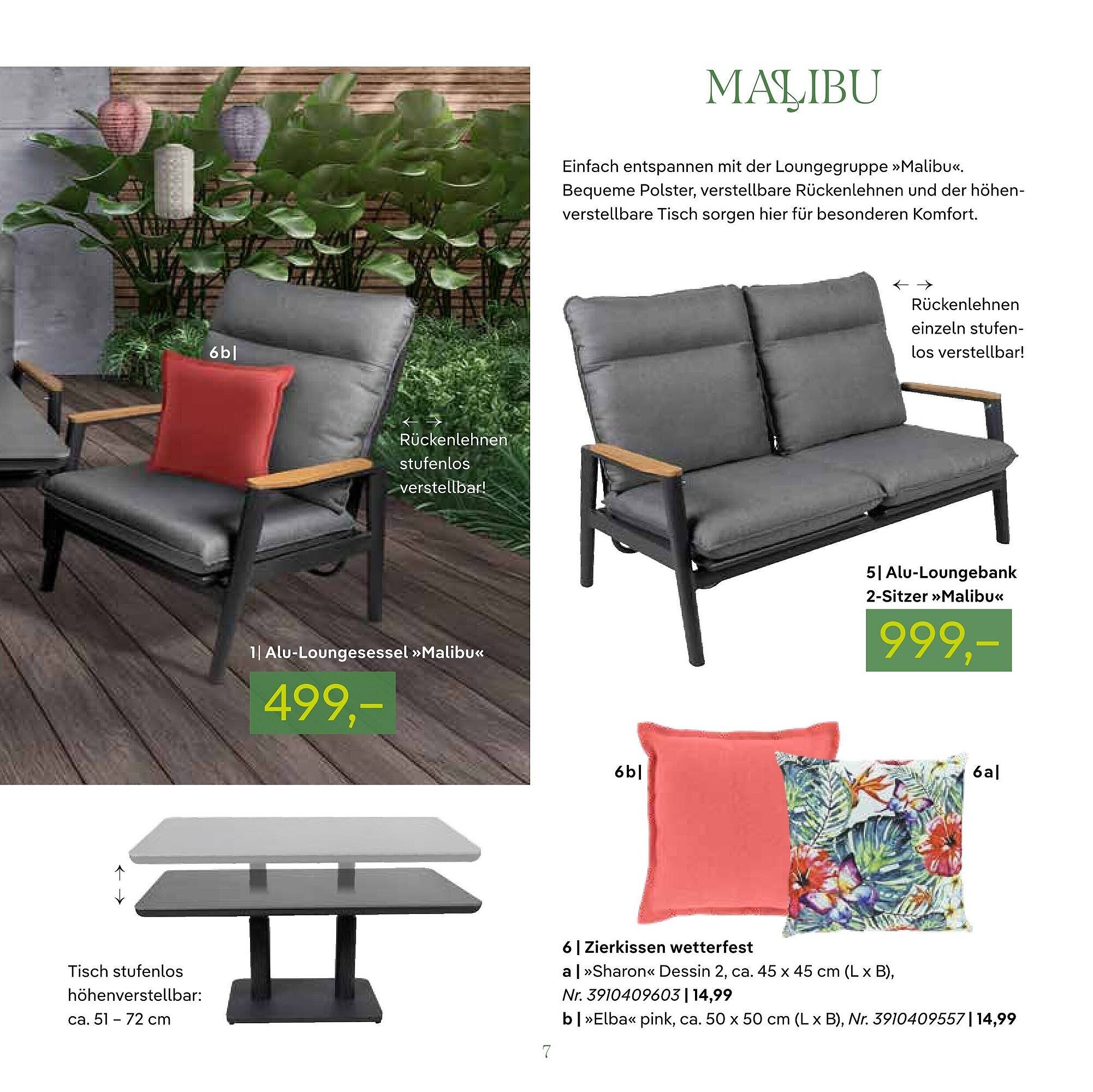 Pflanzen Kölle Prospekt (2026-03-06 - 2026-06-30)