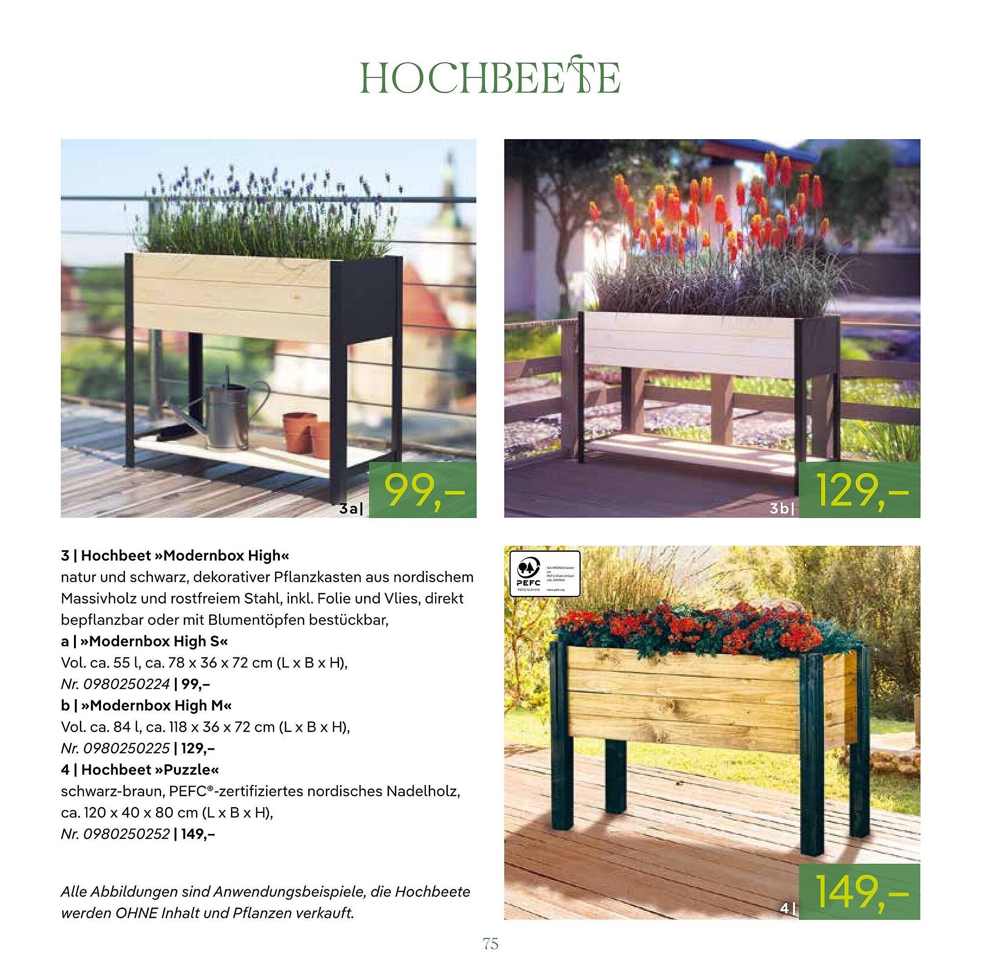 Pflanzen Kölle Prospekt