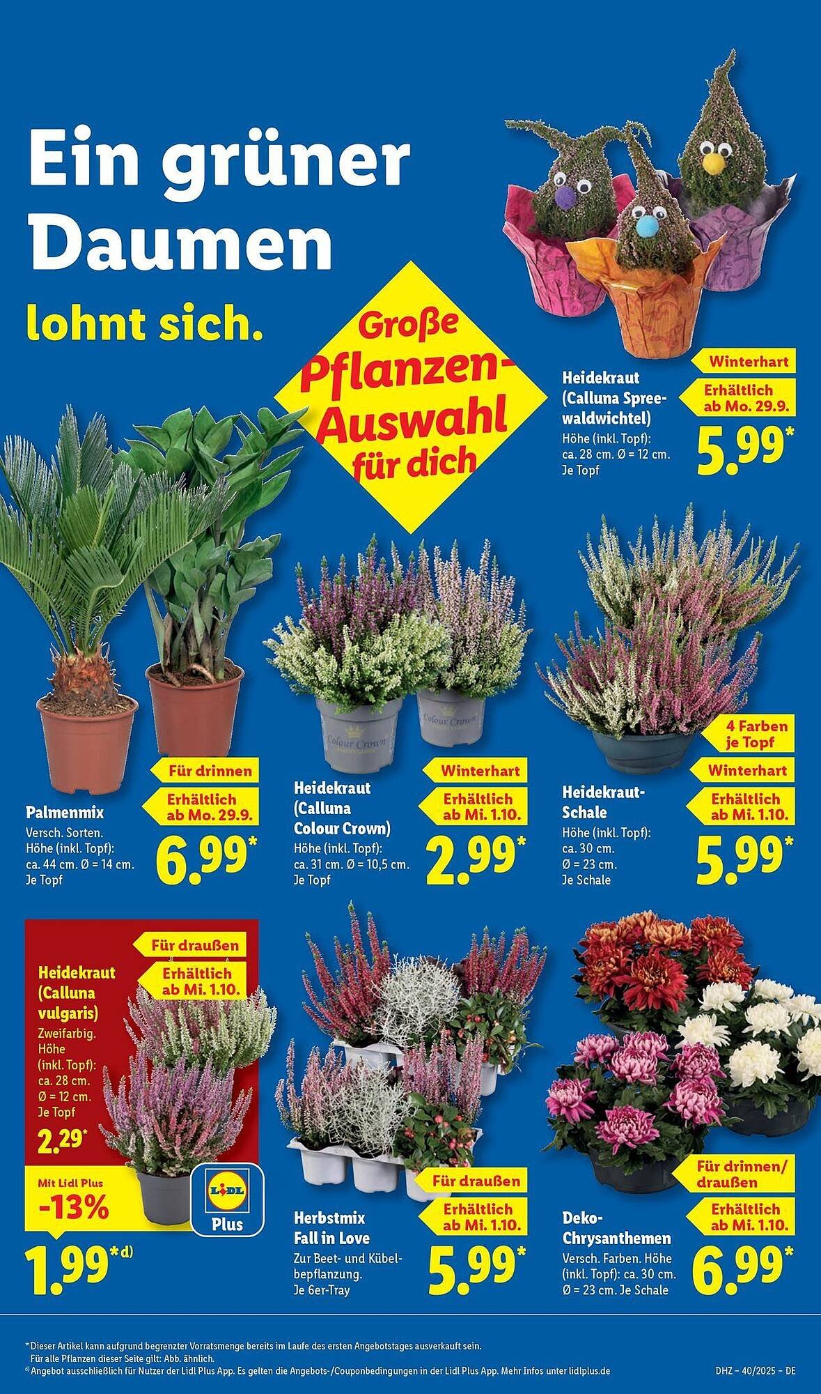 Lidl Prospekt (2025-09-29 - 2025-10-04) | 9