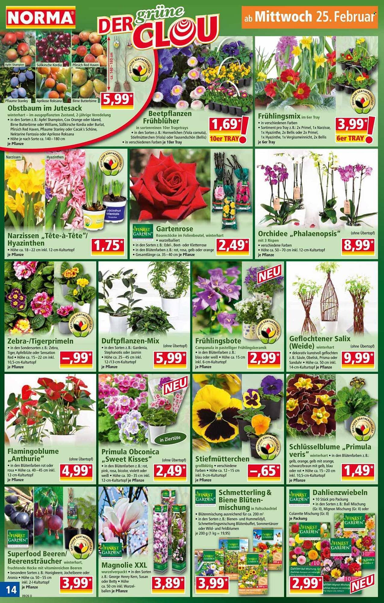 Norma Prospekt (2026-02-23 - 2026-03-01)